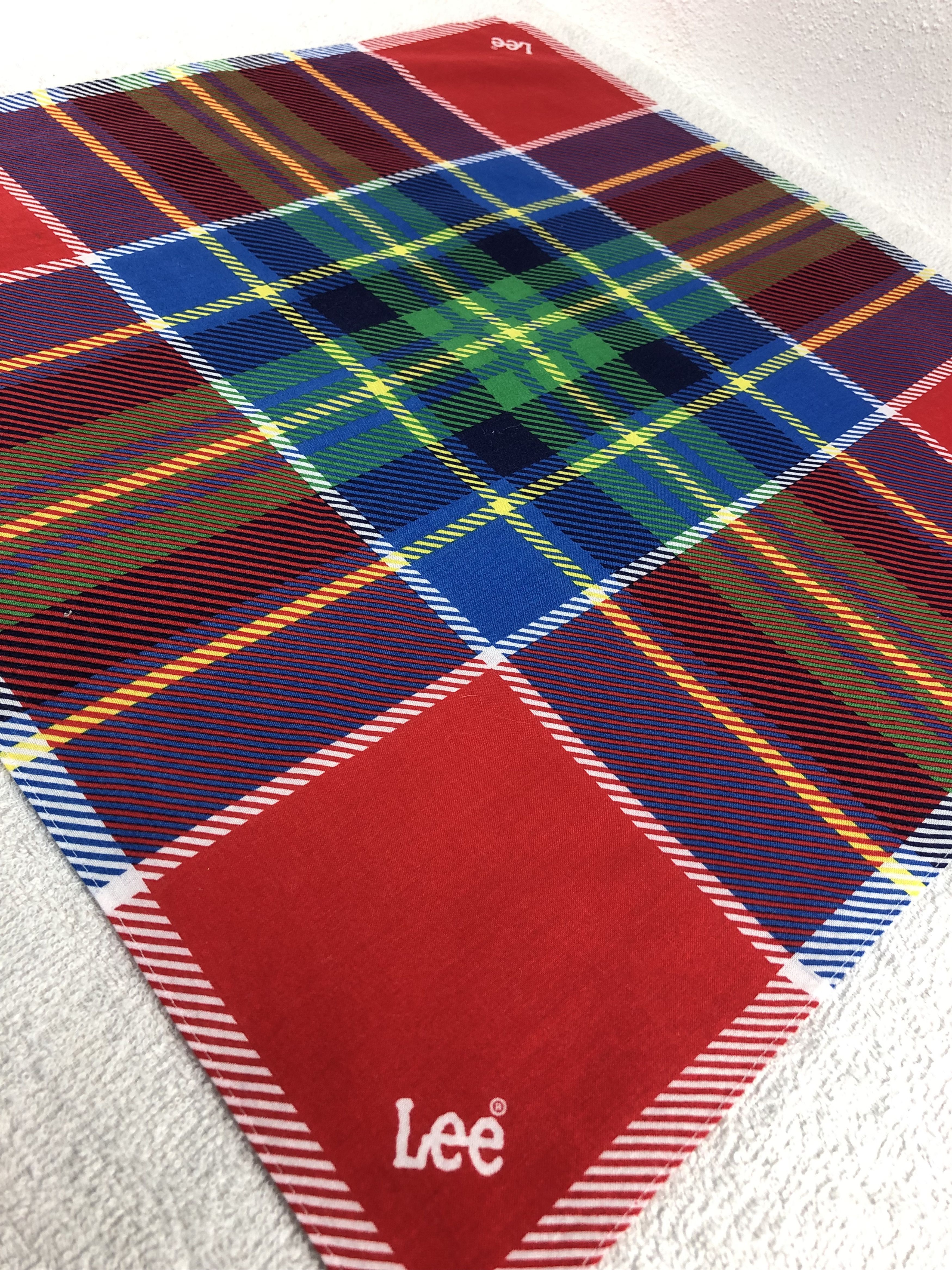 Lee Lee Handkerchief / Bandana / Neckerchief C307 Size ONE SIZE - 4 Thumbnail