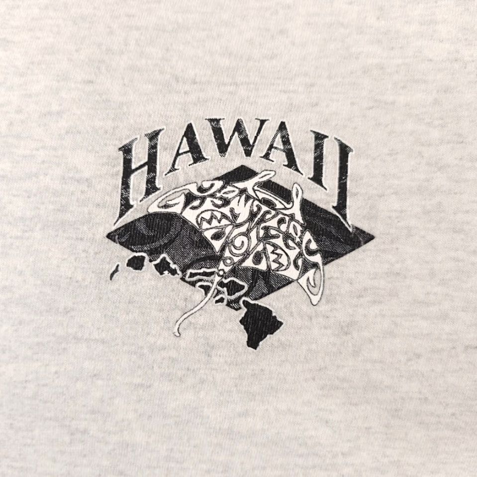 Hanes Hanes Hawaii Stingray T Shirt Mens L Gray Hawaiian Surfer Destination Shirt Mens Size US L / EU 52-54 / 3 - 3 Thumbnail