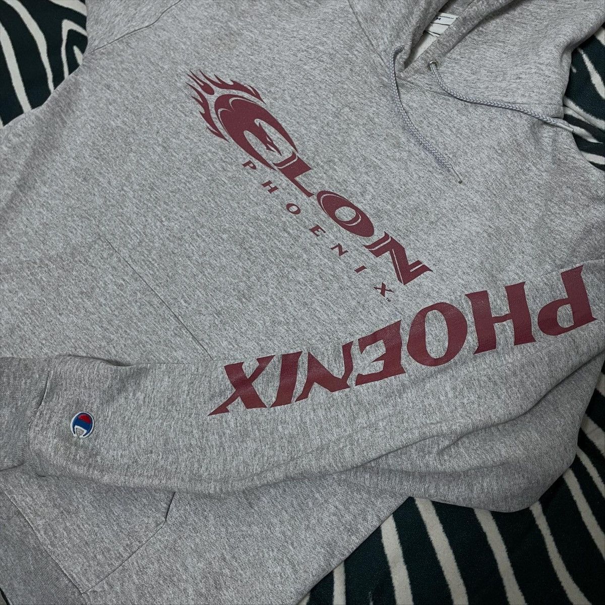 Champion Y2K Elon phoenix university hoodie Champion Size US M / EU 48-50 / 2 - 4 Thumbnail