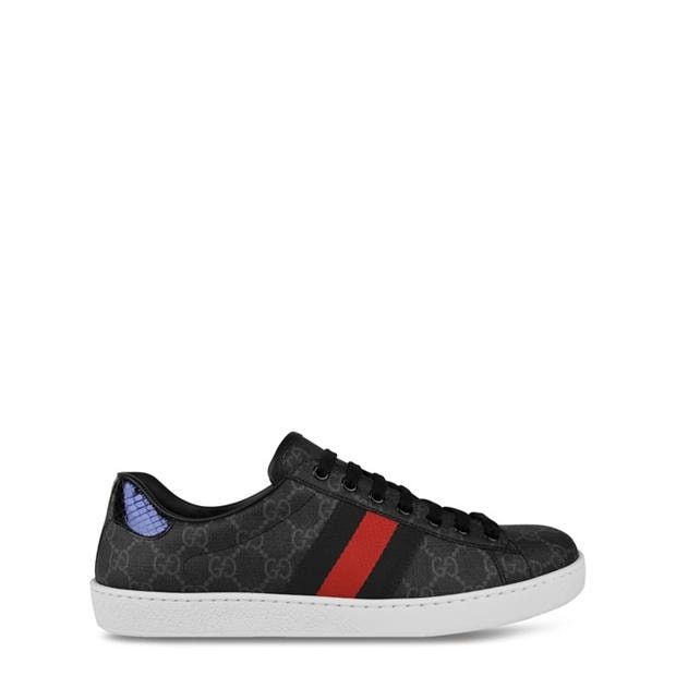 Gucci GUCCI Ace Gg Supreme Trainers Size US 10 / EU 43 - 1 Thumbnail