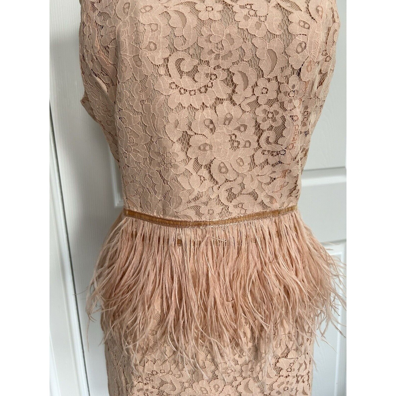 Other ENDLESS ROSE Sleeveless Lace Sheath Open Back Feather Waist Size S / US 4 / IT 40 - 2 Thumbnail