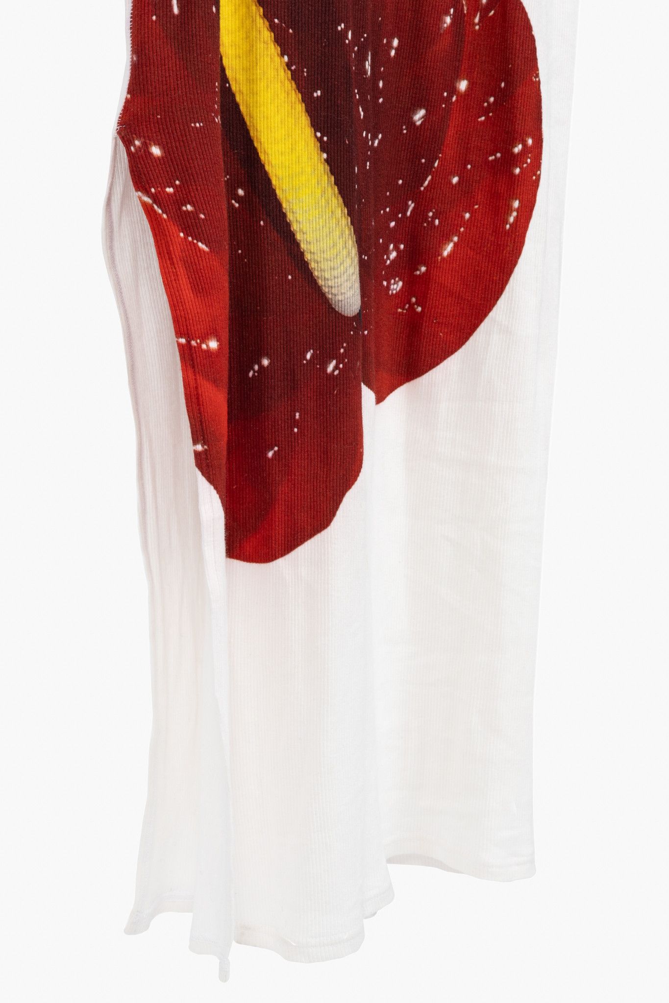 Loewe Loewe SS/23 Anthurium Floral Ribbed-Cotton Maxi Tank Dress Size S / US 4 / IT 40 - 6 Thumbnail