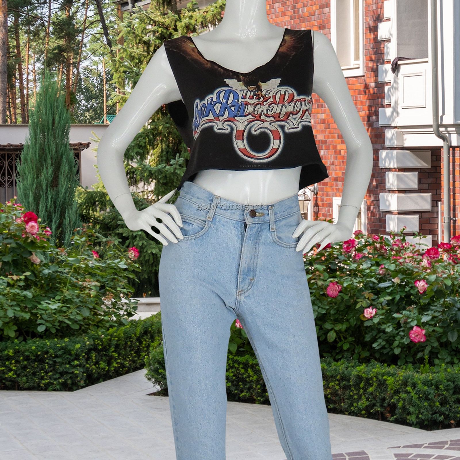 Oak Ridge Boys Retro Eagle Graphic Tank Top Tee