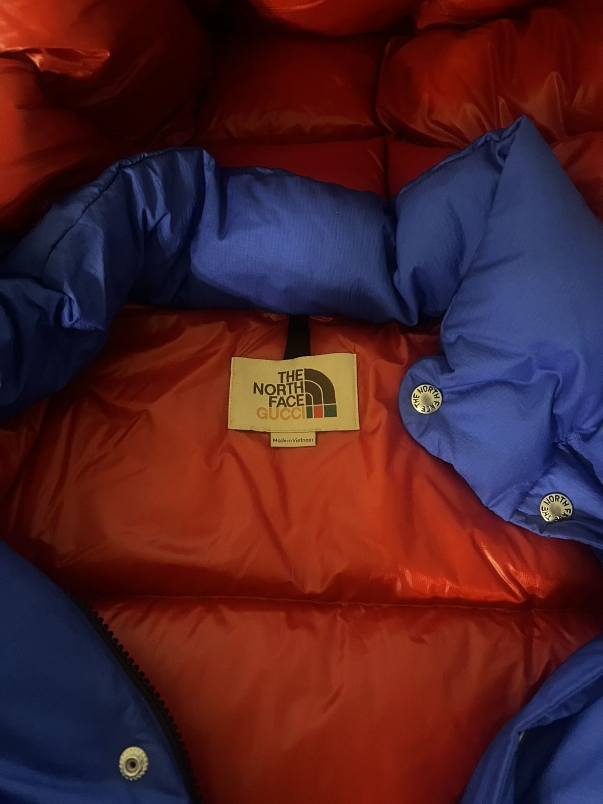 Gucci Gucci North face Size US M / EU 48-50 / 2 - 3 Thumbnail
