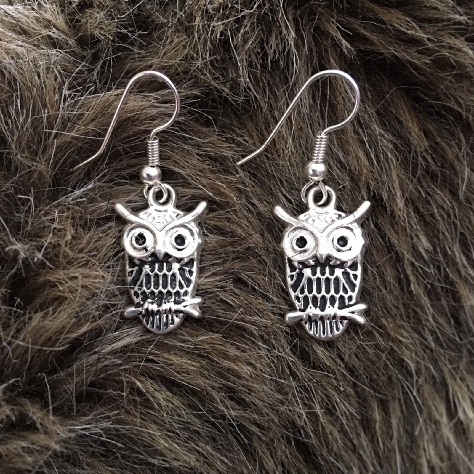 Jewelry Silver Tone Owl Fish Hook Dangle Earrings, Women's