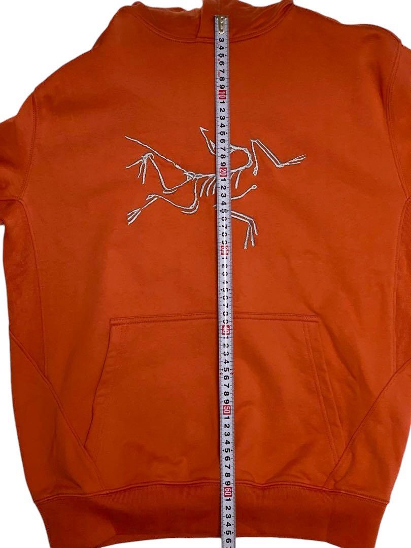 Arc'teryx × Palace Arcteryx x Palace Hoodie Size US M / EU 48-50 / 2 - 9 Thumbnail