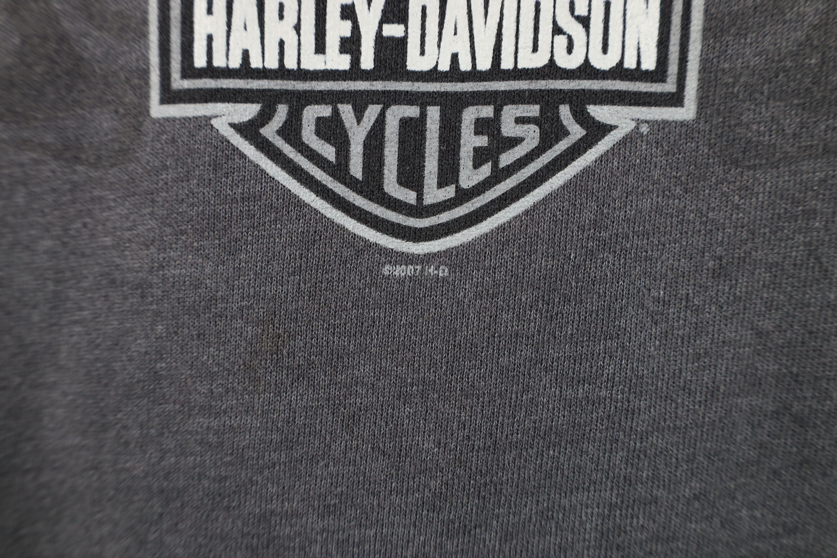 Harley Davidson Vintage Y2K Harley Davidson Fire Flames Crewneck Sweatshirt Size US XXL / EU 58 / 5 - 5 Thumbnail