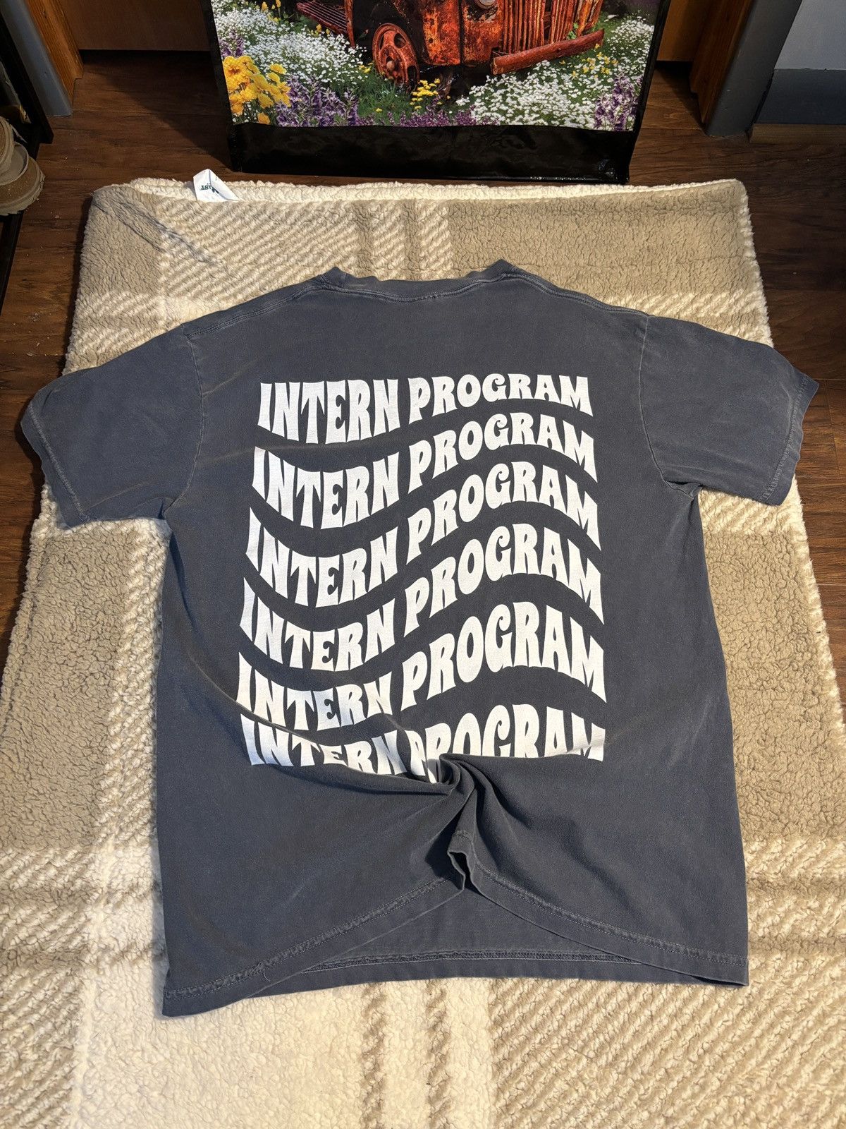 Comfort Colors “Intern Program” graphic tee Size US L / EU 52-54 / 3 - 1 Thumbnail