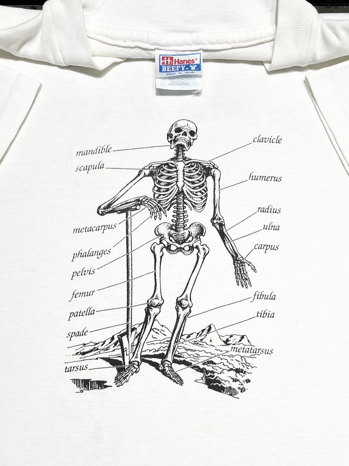 Vintage Vintage 90’s Synthes Bones ‘R’ Us Anatomy Size US XL / EU 56 / 4 - 1 Thumbnail