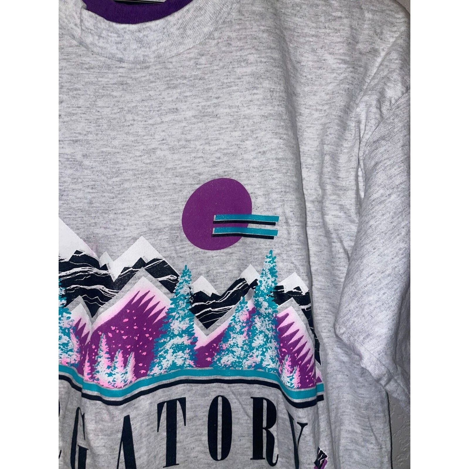 Signal Sport Vintage Purgatory Shirt Baywood Park CO Test Print Ski 90s L Size US L / EU 52-54 / 3 - 5 Thumbnail