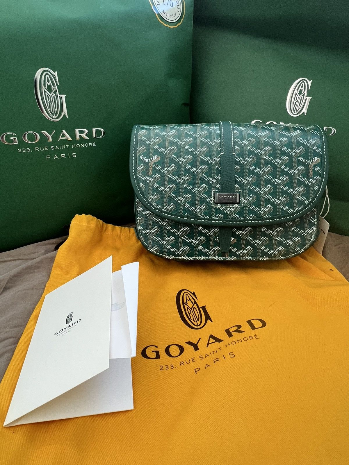 image of Goyard Belvedere Pm in Green, Men's