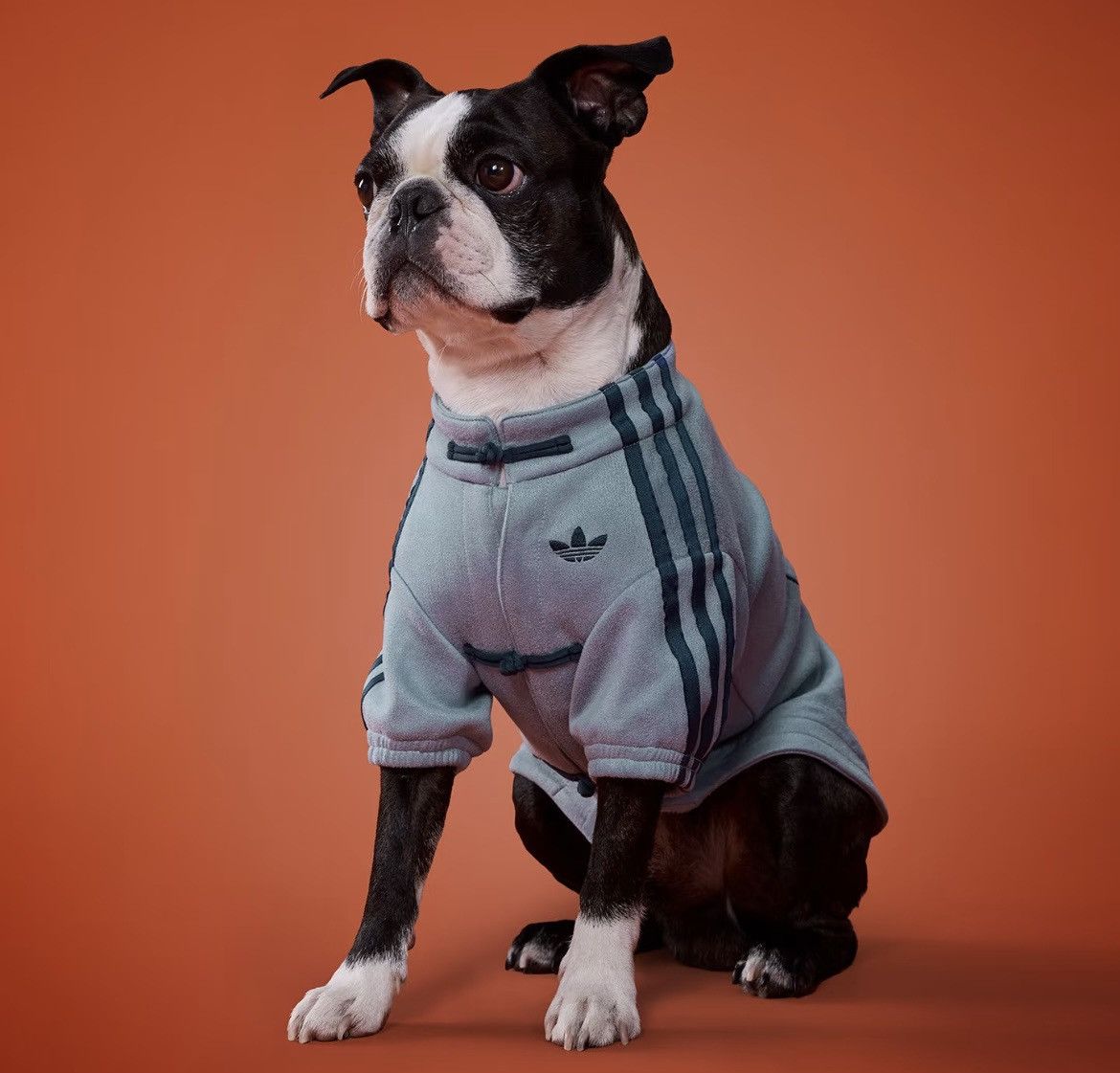 Adidas Adidas Pet CTT Chinese Style Soft Track Top Blue size M Size ONE SIZE - 2 Thumbnail