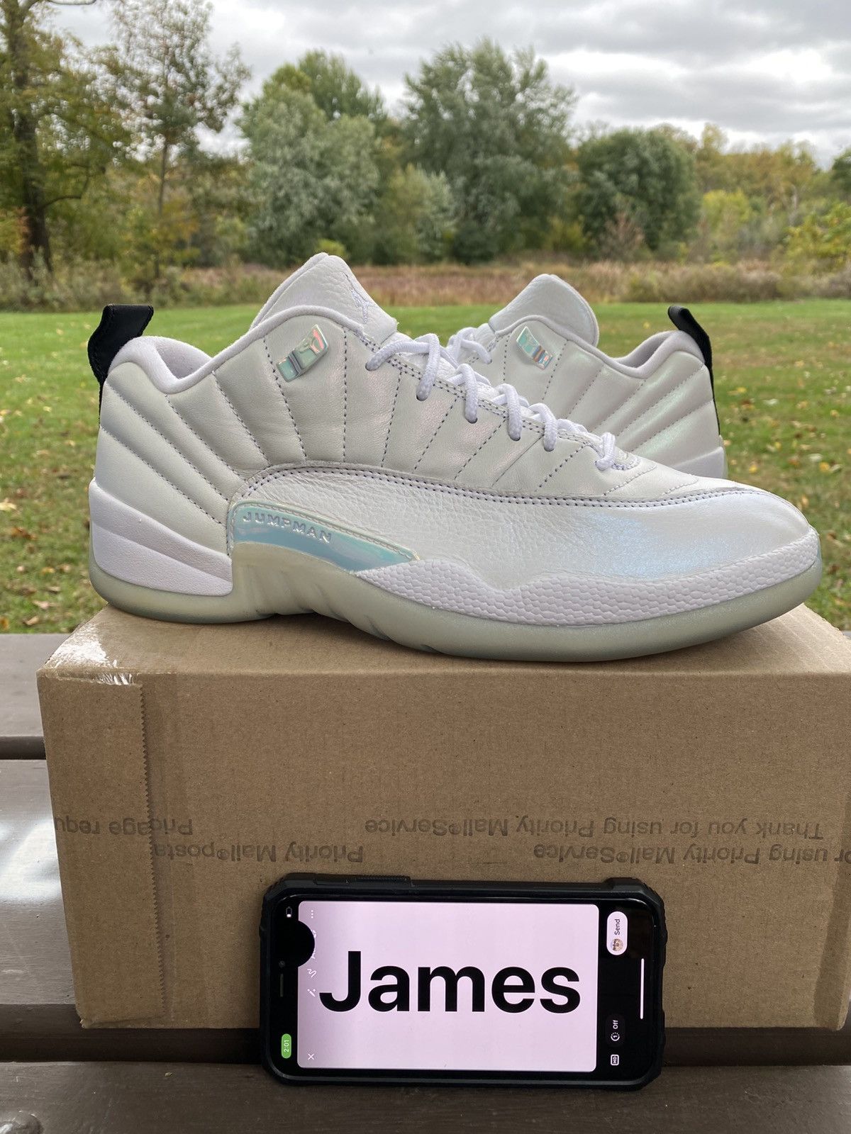 Jordan Brand Nike Air Jordan Retro 12 Low Easter DB0733190 Size 10 Men Size US 10 / EU 43 - 1 Thumbnail