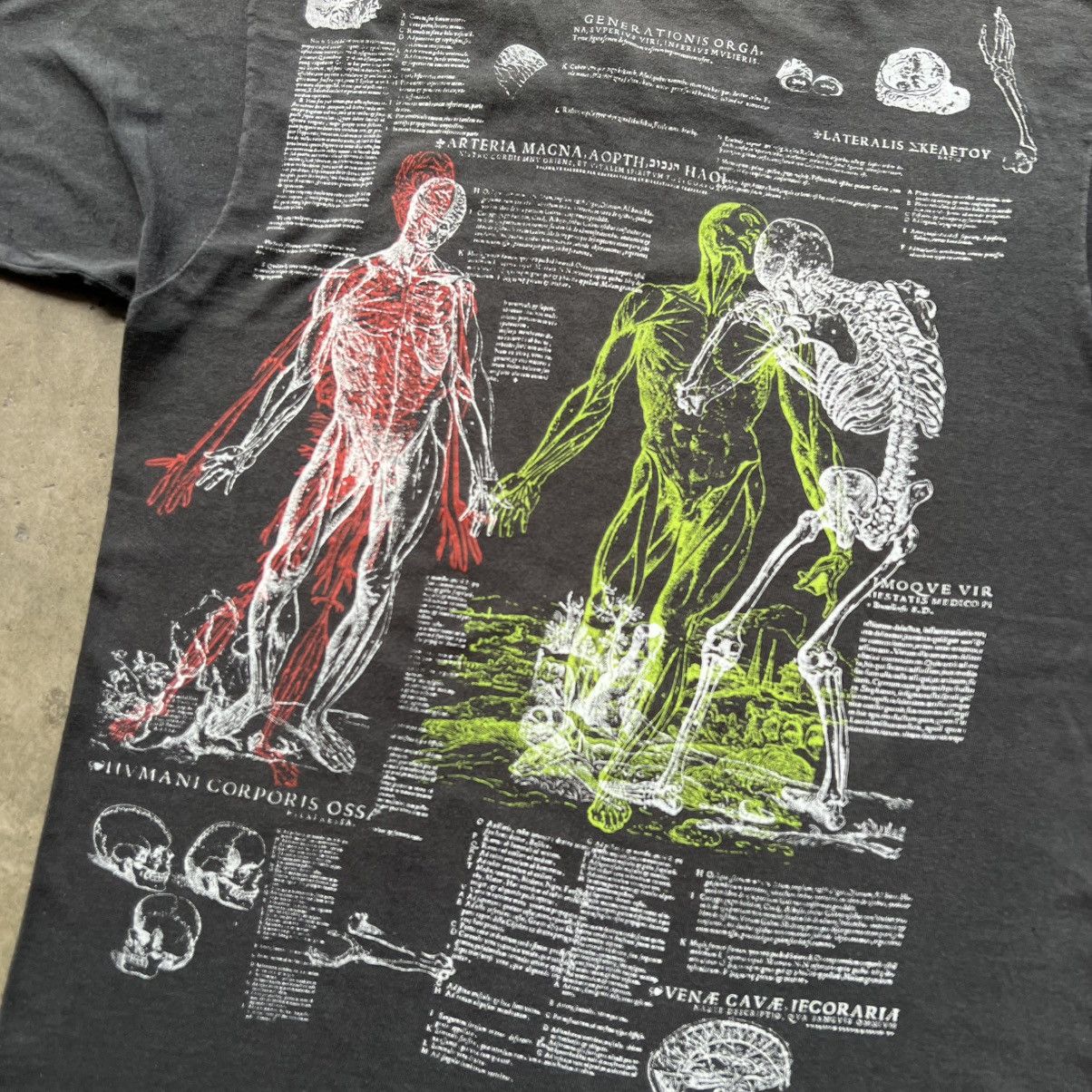 Fruit Of The Loom VTG ‘90s Andreas Vesalius Man Anatomy Art Tee Shirt Size US L / EU 52-54 / 3 - 8 Thumbnail