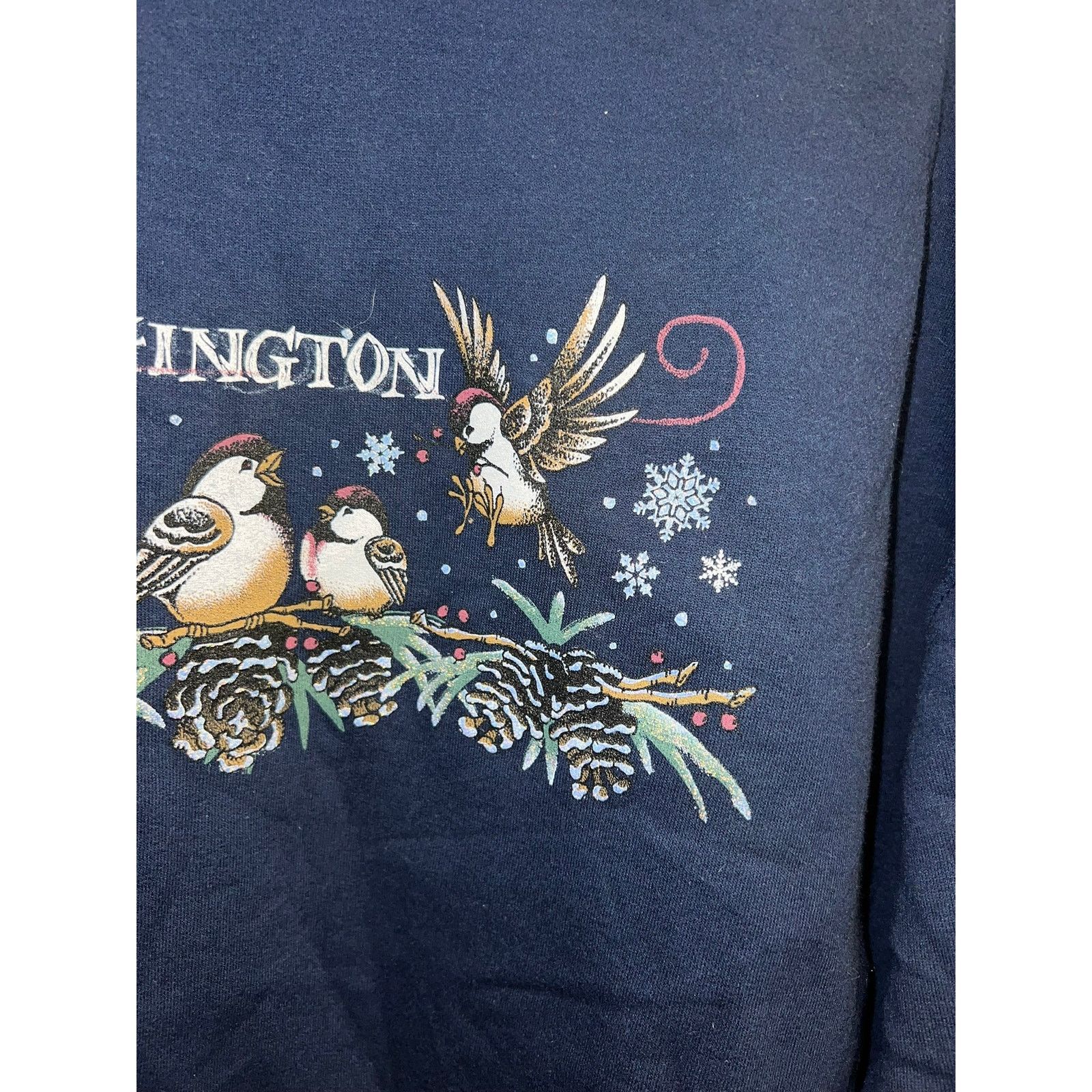 Jerzees Vintage Washington Sweatshirt Crewneck Bird Nature 90s XL Size US XL / EU 56 / 4 - 5 Thumbnail
