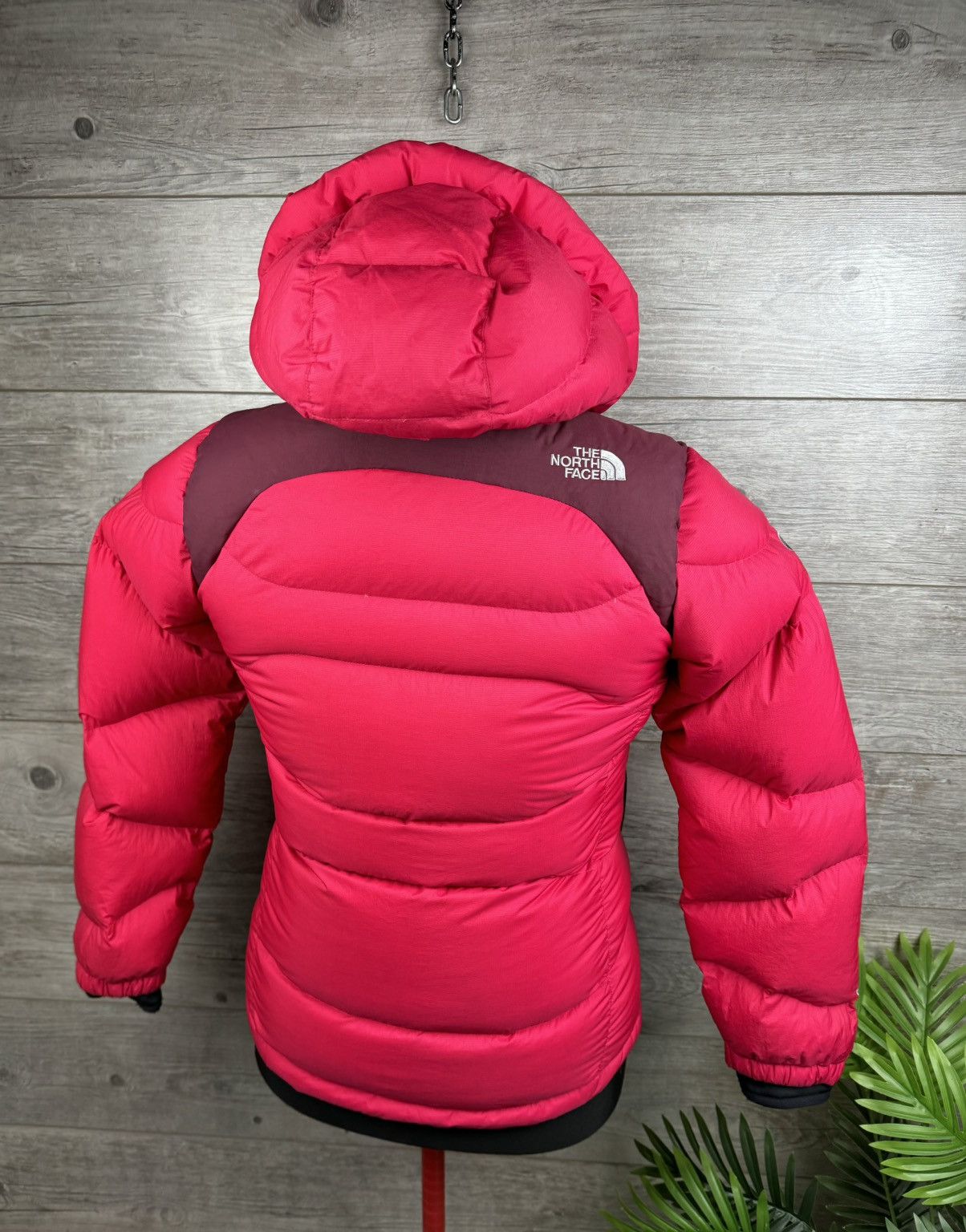 The North Face THE NORTH FACE DOWN JACKET BALTORO 800 SUMMIT SERIES Y2K Size L / US 10 / IT 46 - 3 Thumbnail