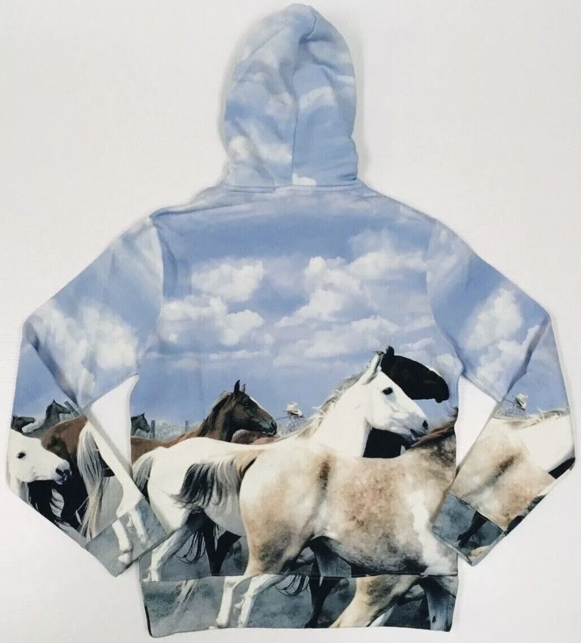 Polo Ralph Lauren Polo Sport Ralph Lauren "Wild Horses" Hoodie Size US M / EU 48-50 / 2 - 5 Thumbnail