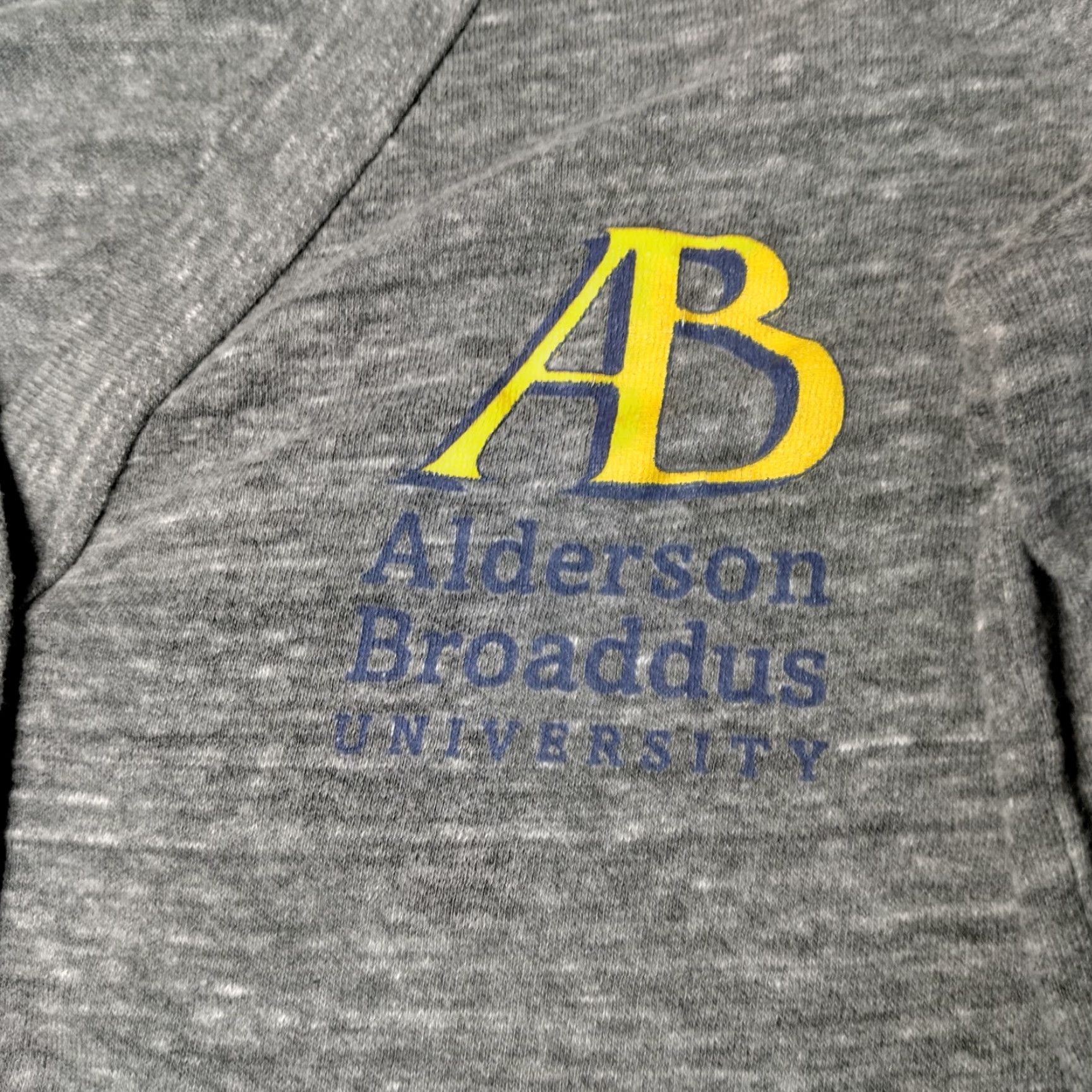 Vintage VINTAGE College House Cardigan Shirt Women M Gray Jersey Knit Academia Alderson Broaddus University Slim College School 90s Mens Womens? Size M / US 6-8 / IT 42-44 - 6 Thumbnail