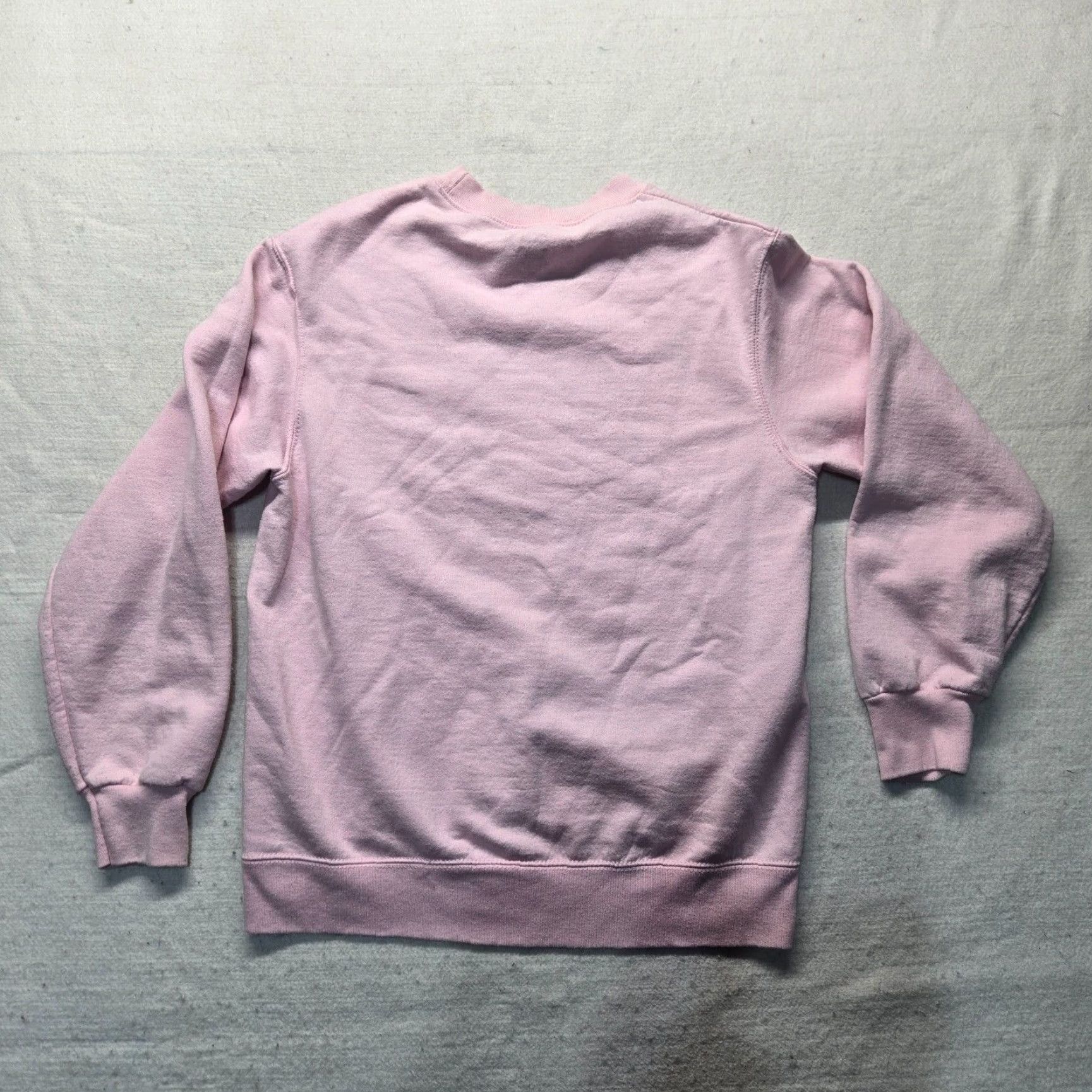 Fruit Of The Loom Fruit of the Loom Sweatshirt Women’s Size S Pink Knit Crew Neck Pullover Beach Theme All Seasons Brand New To You Size S / US 4 / IT 40 - 7 Thumbnail