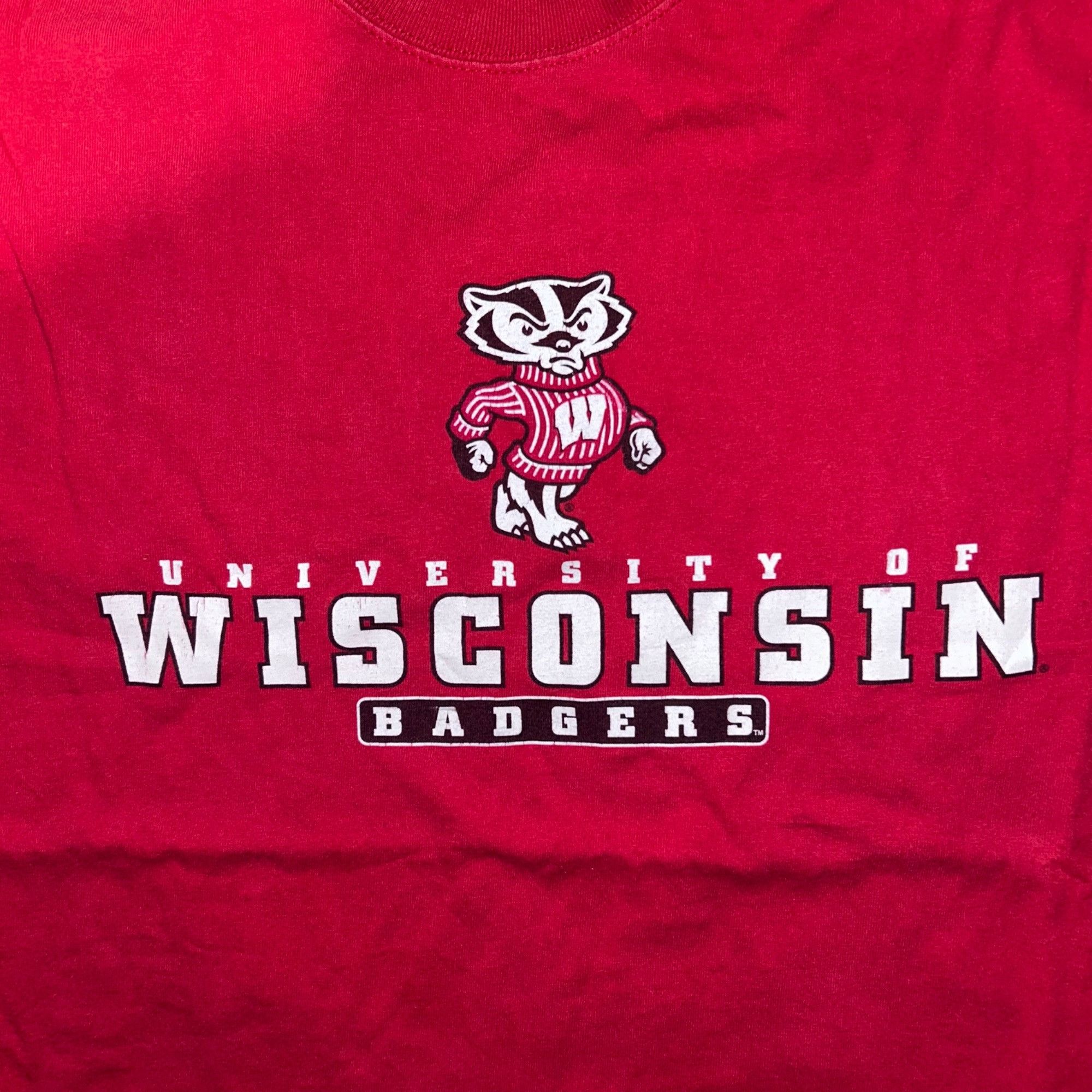 Other Vintage/Y2K style Wisconsin Badgers Shirt Size US XL / EU 56 / 4 - 3 Thumbnail