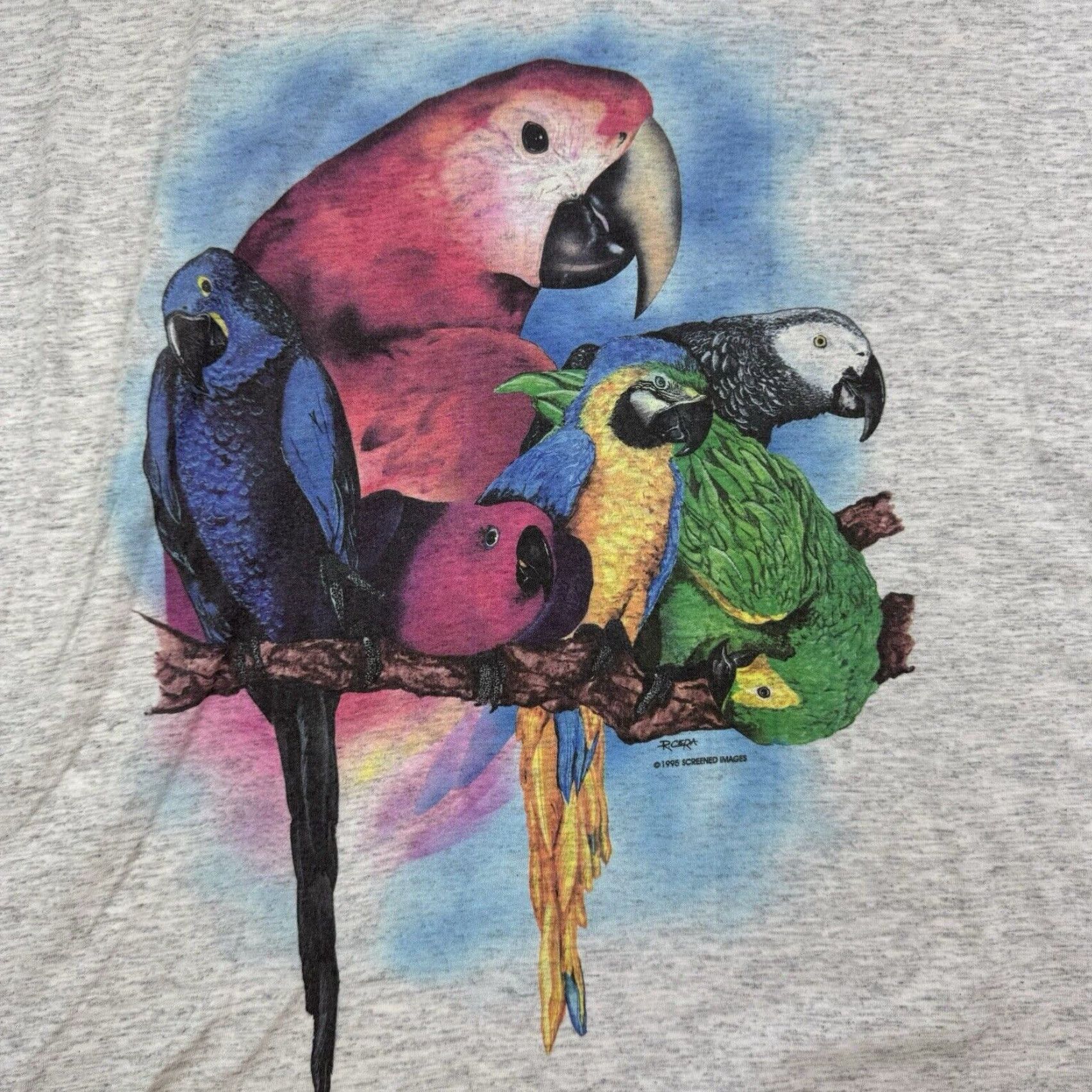Fruit Of The Loom VINTAGE Fruit of the Loom T-Shirt Adult 2XL Gray Parrot Graphic 90s Nature Birds Outdoor Mens Size US XXL / EU 58 / 5 - 2 Thumbnail