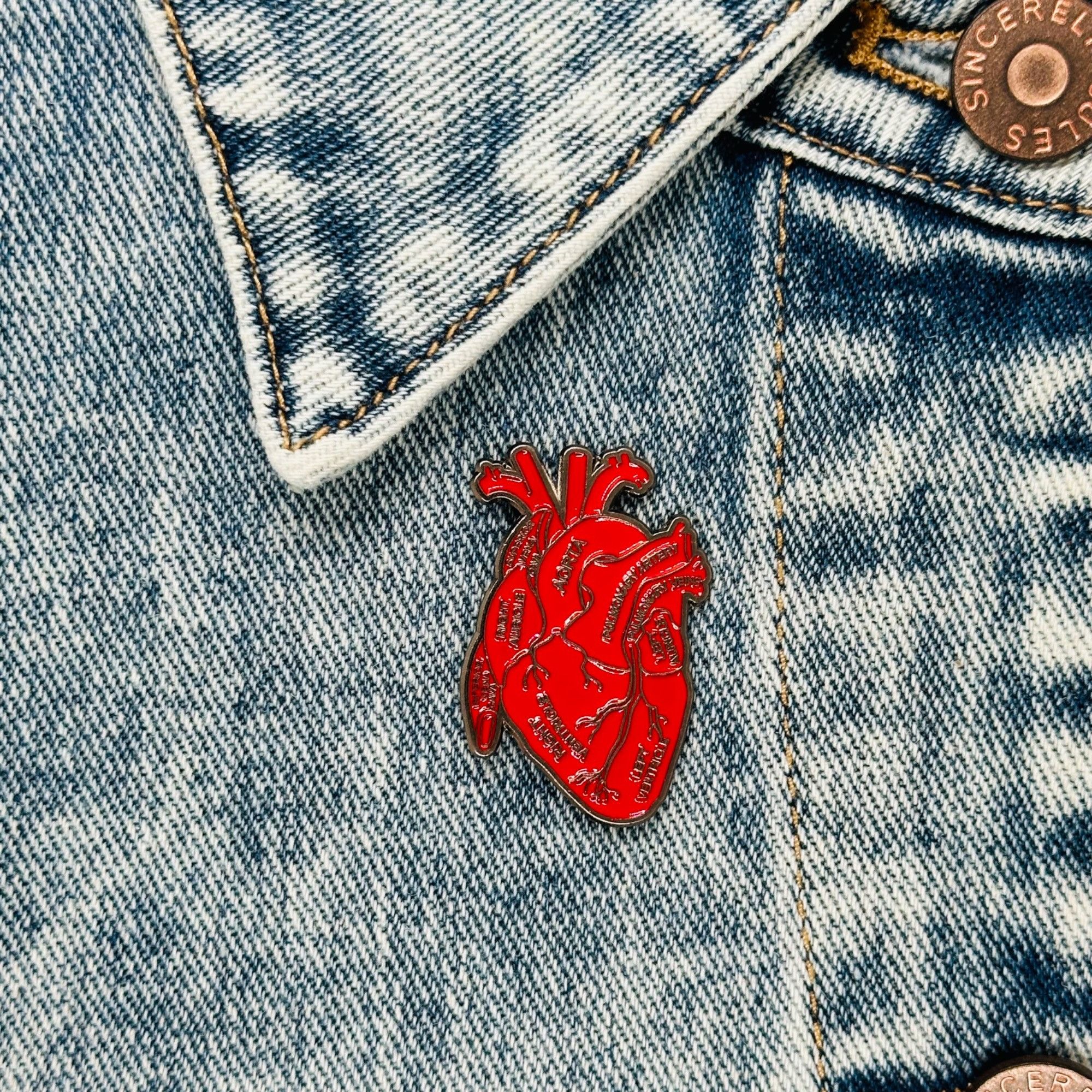 Other Anatomical Human Heart Enamel Pin Brooch Red Heart Organ Lap Size ONE SIZE - 4 Thumbnail