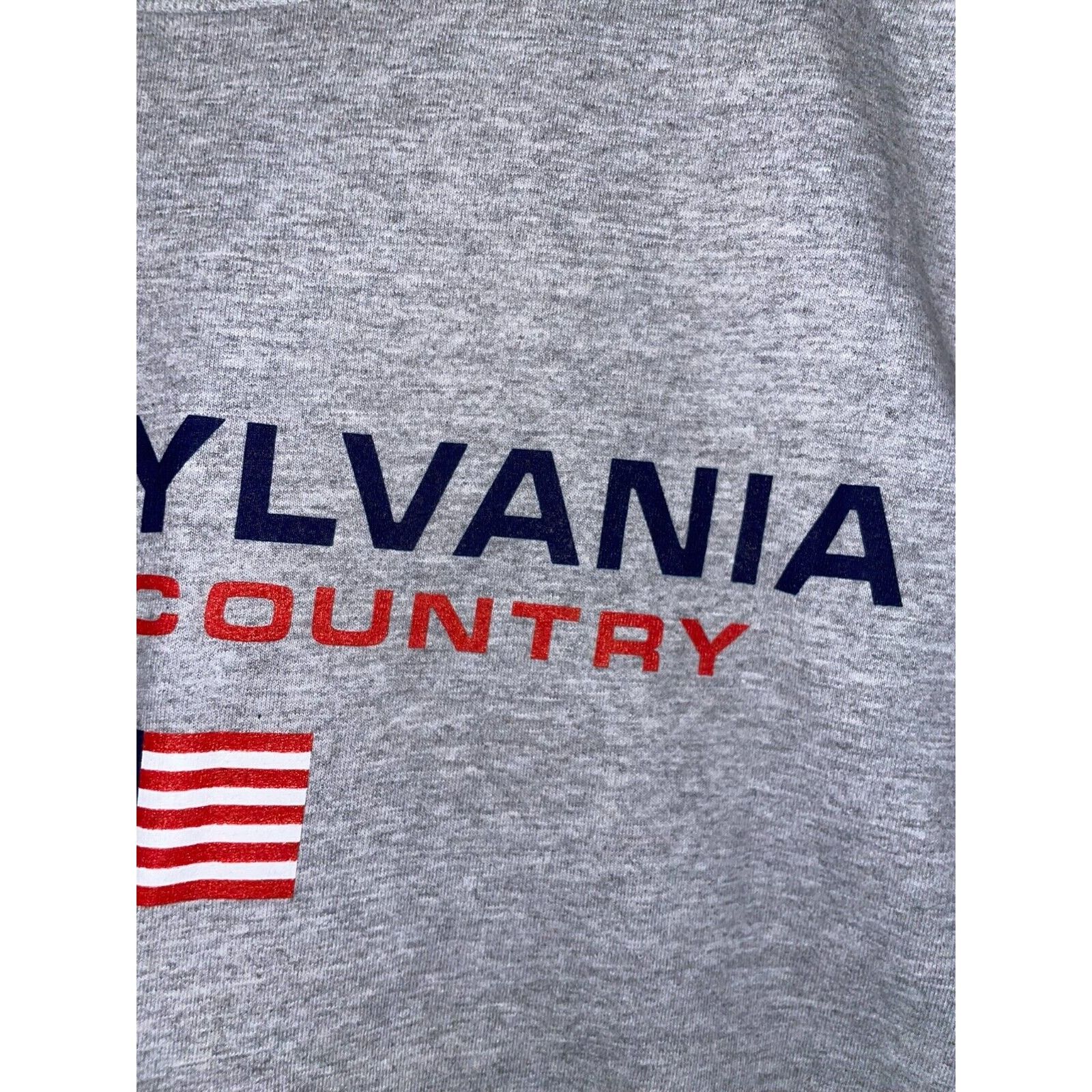 Jerzees Vintage Amish Country Shirt Pennsylvania Gray Tee 90s L Size US L / EU 52-54 / 3 - 5 Thumbnail