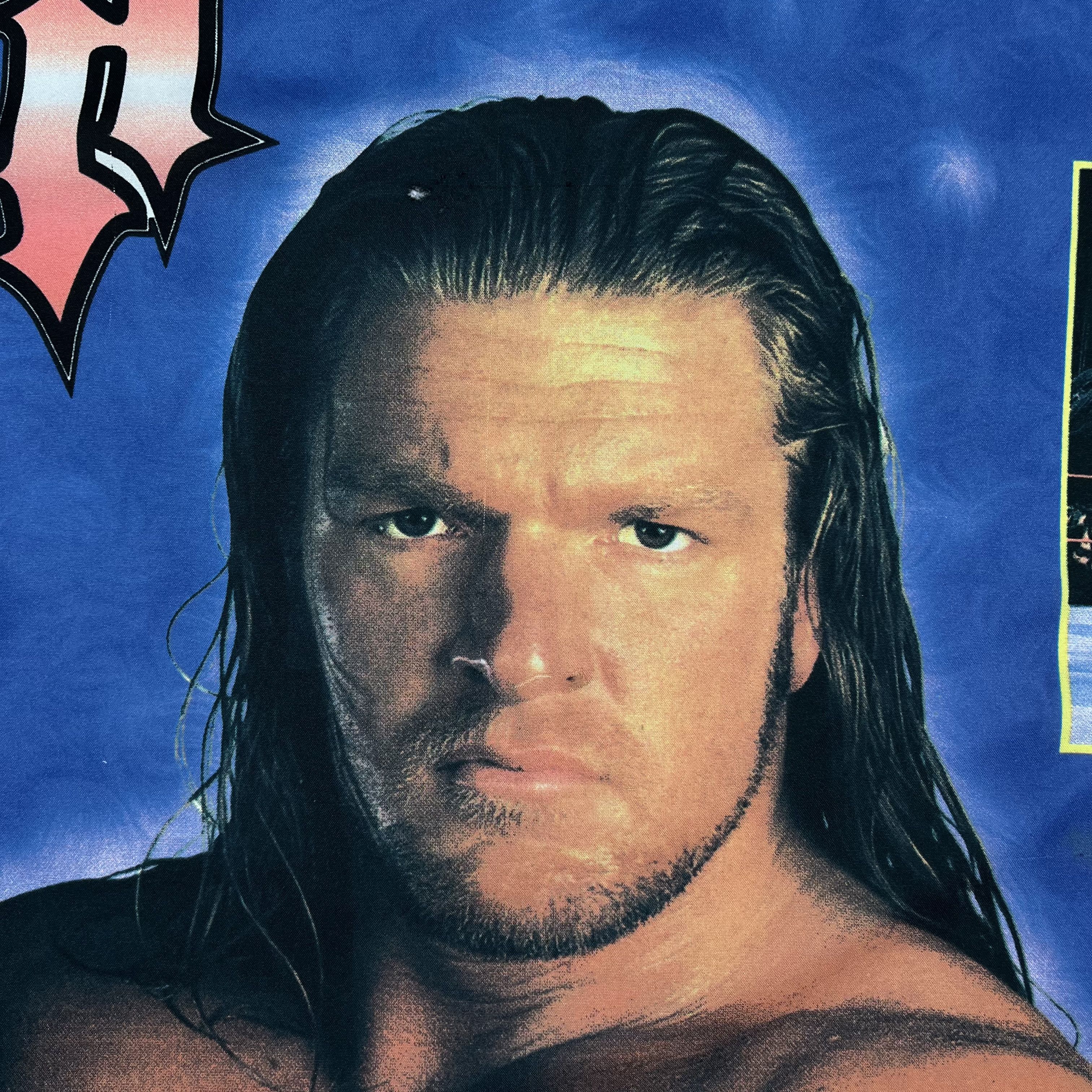 WWF Vintage Triple H WWF Superstars Flag Poster Tapestry 2000’s Size ONE SIZE - 12 Thumbnail