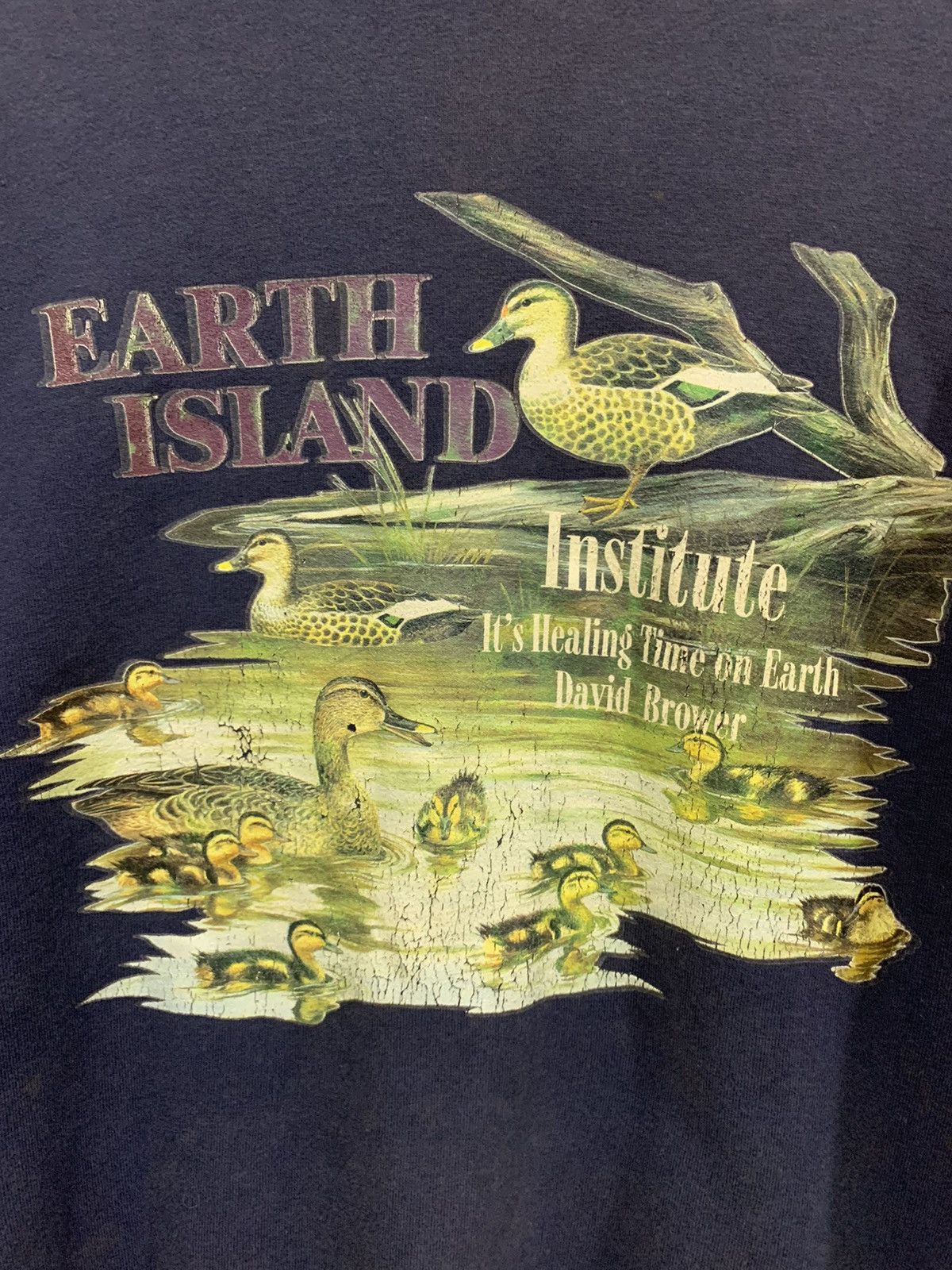Japanese Brand Vtg Island Institute it's Healing Time on Earth David Brower Size US M / EU 48-50 / 2 - 4 Thumbnail