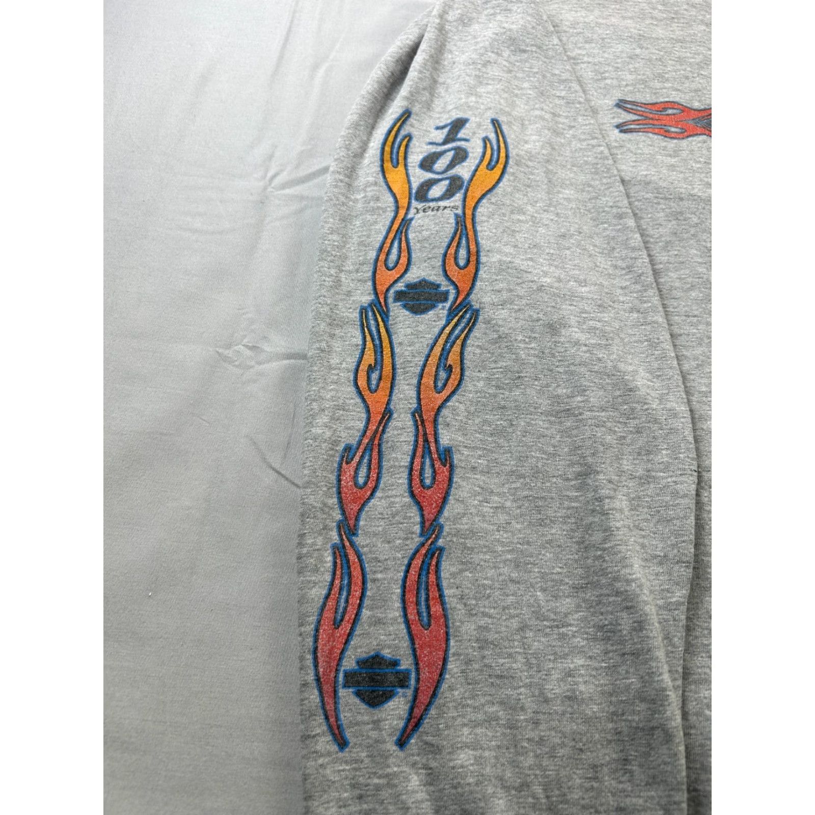 Harley Davidson VINTAGE Harley-Davidson XL Long Sleeve Hit Shirt Flame 100 Year Y2K Gray Mens XL Graphic Print Crew Neck Logo Decade 90s Brand Size US XL / EU 56 / 4 - 5 Thumbnail