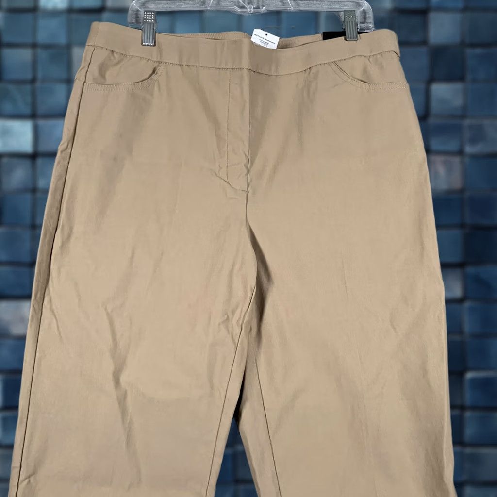 Vintage Alfred Dunner Capri Pants Womens 12 Beige Stretch Pull On Slimming Modern Fit - Casual, 21in Inseam, Solid Tan Beige, Rayon Nylon Spandex Size 34" / US 12 / IT 48 - 1 Thumbnail