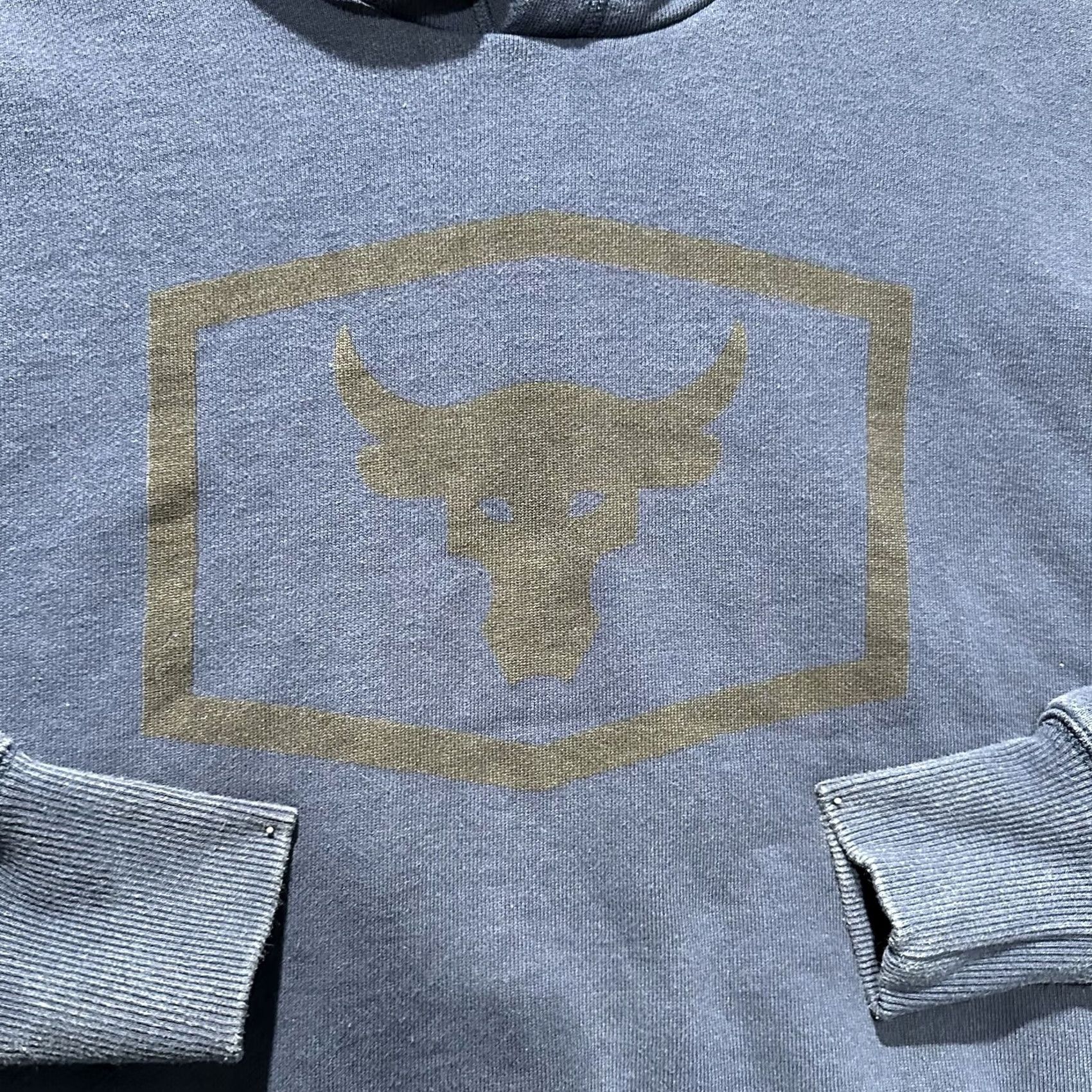 Under Armour Under Armour Project Rock Hoodie Sweatshirt Mens M Blue Logo Pullover Size US M / EU 48-50 / 2 - 3 Thumbnail