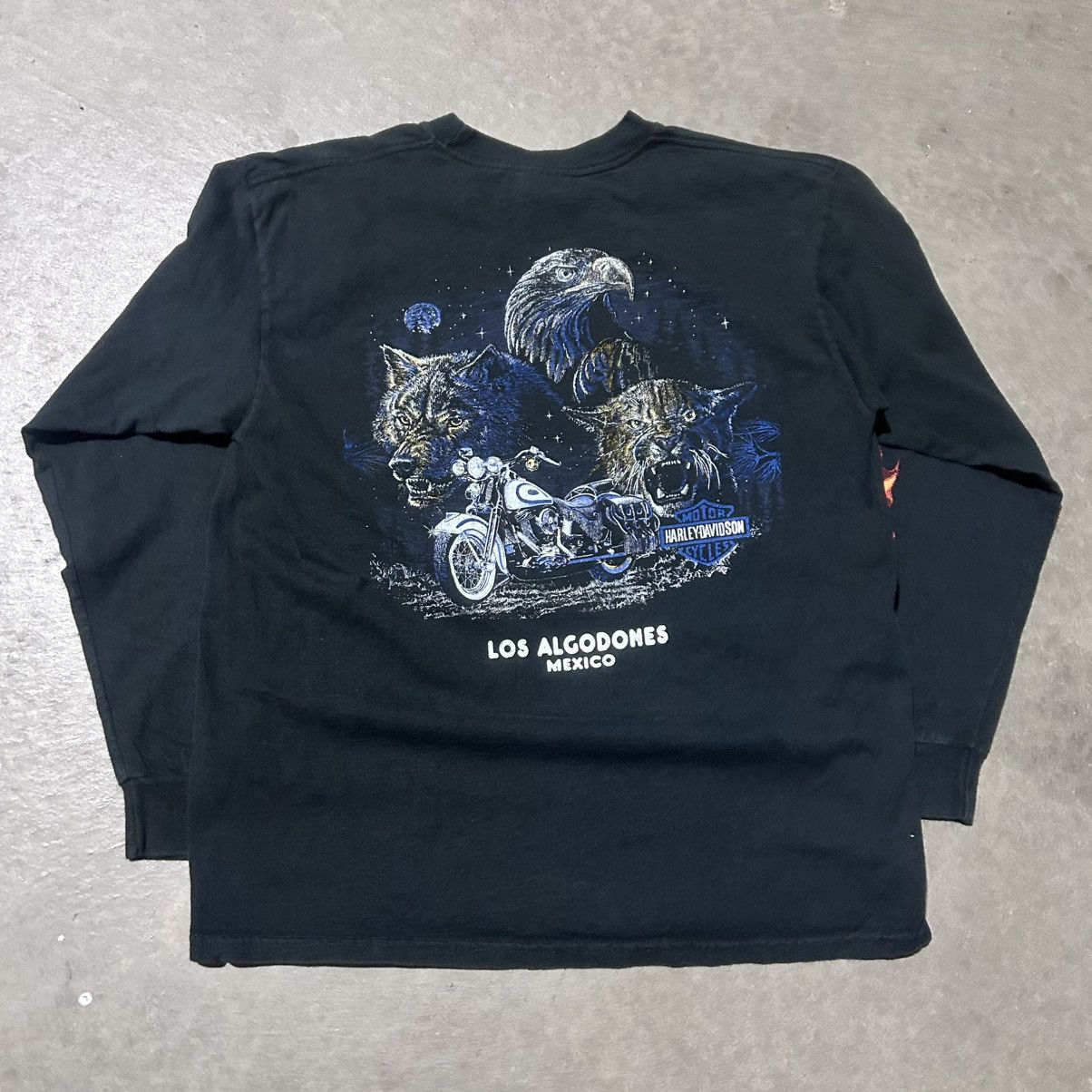 Harley Davidson Harley davidson flame long sleeve tee shirt Size US L / EU 52-54 / 3 - 2 Thumbnail