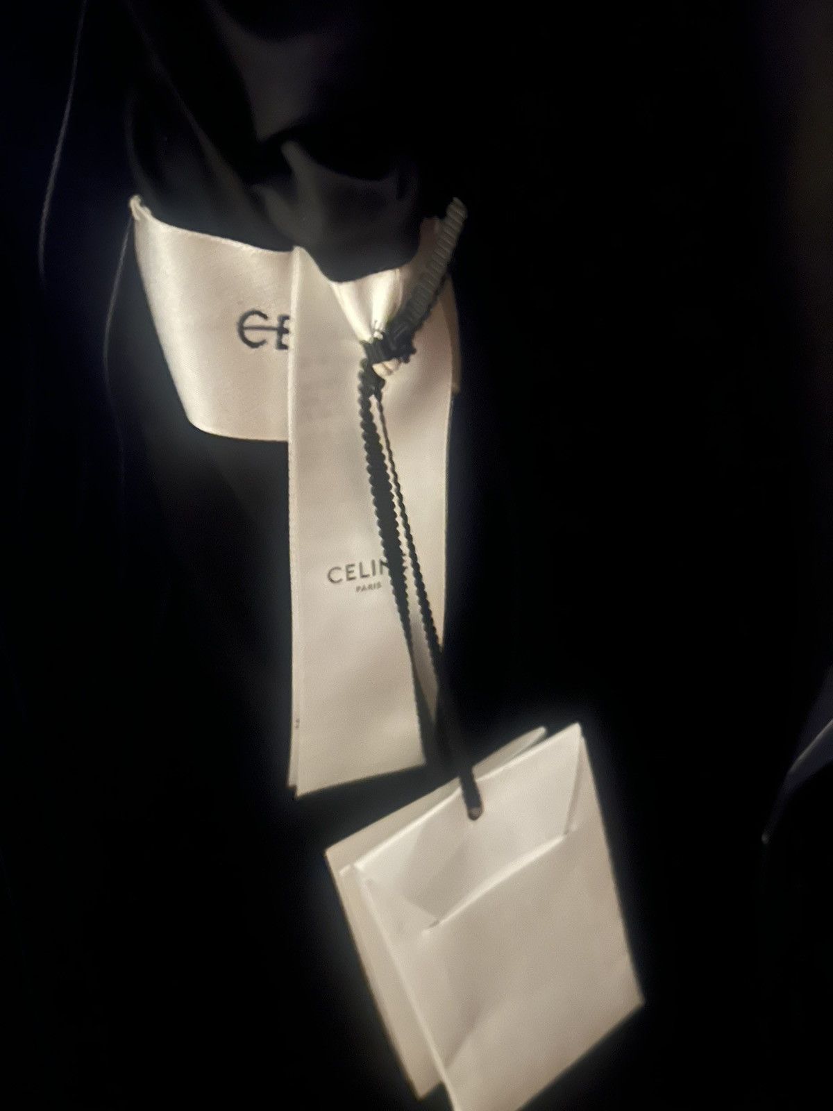 Celine Celine FW23 Double Breasted Blazer Size 46R - 6 Thumbnail