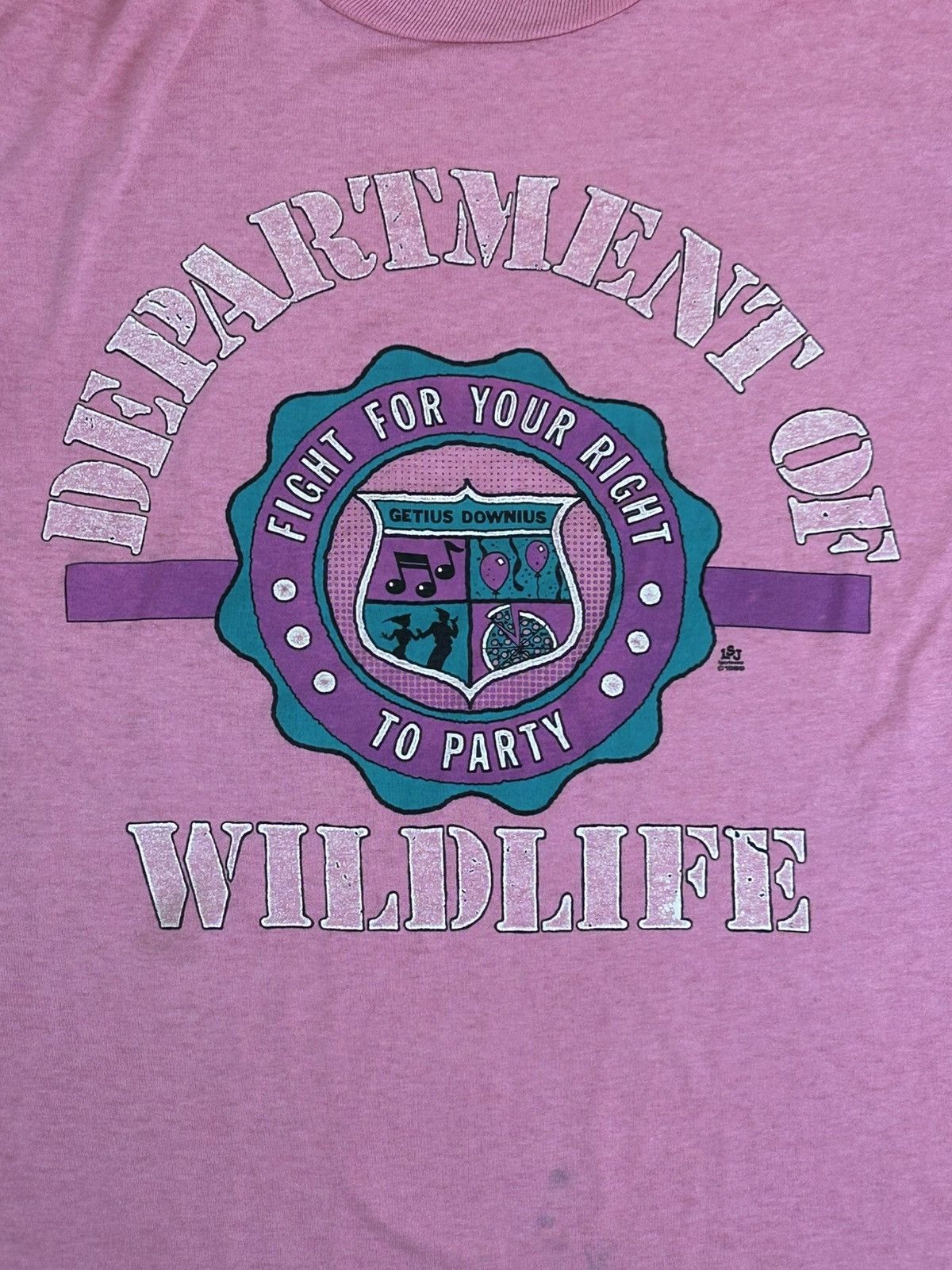 Jerzees Vintage 1980’s “Fight For Your Right” Single Stitch Tee Size US L / EU 52-54 / 3 - 2 Thumbnail