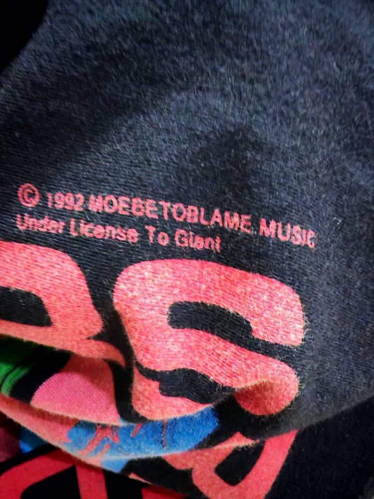 Vintage 1992 Red Hot Chili Peppers Bikini Wall Tee – Anvil