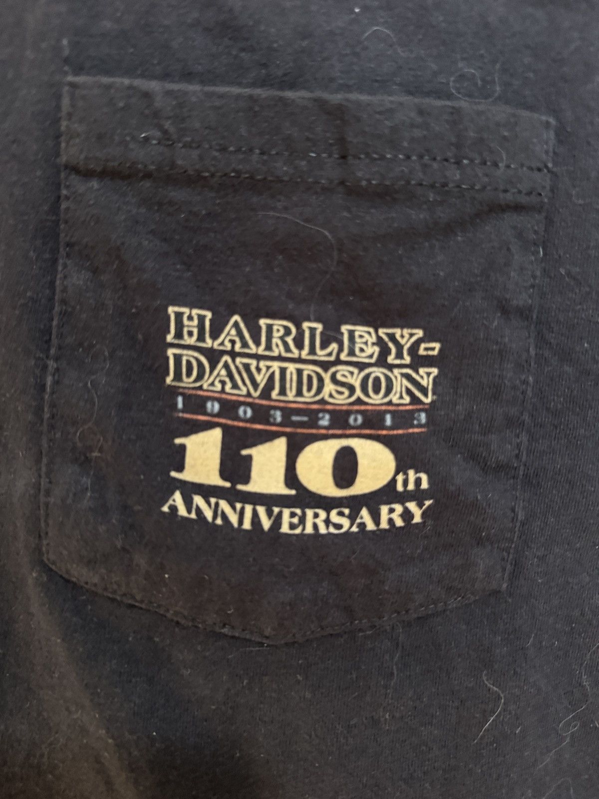 Harley Davidson 110 Year anniversary Halrey Pocket Tee Size M / US 6-8 / IT 42-44 - 2 Thumbnail