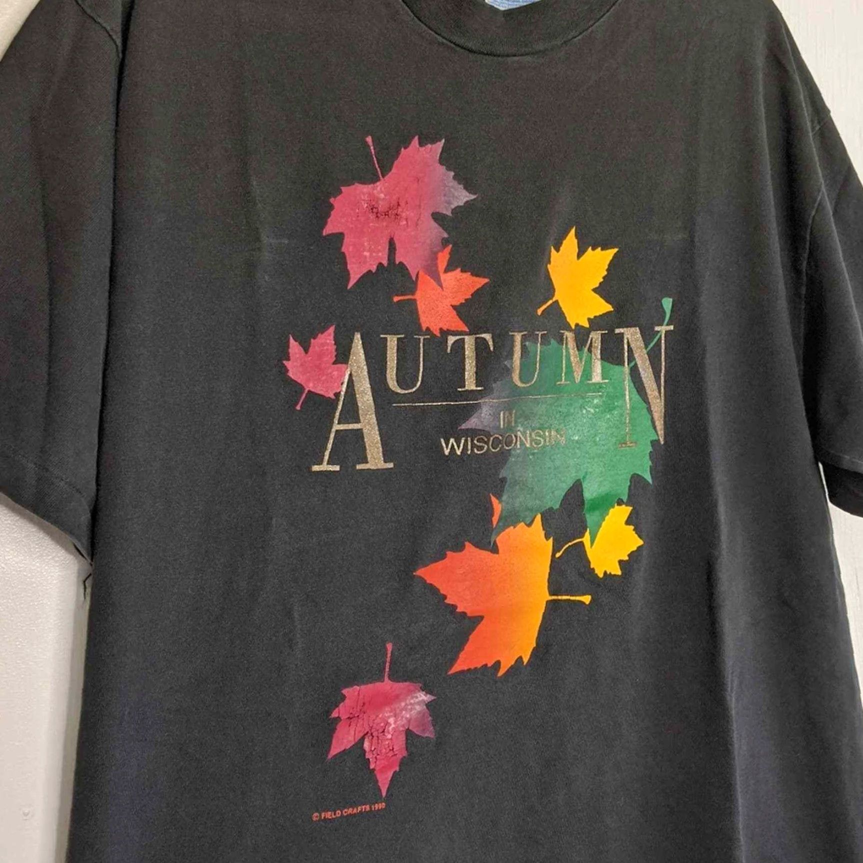 Vintage VINTAGE Wisconsin Autumn Leaves Shirt L Adult Black Men/Women Unisex Hanes VTG WI Bonn Nature 90s Size US L / EU 52-54 / 3 - 7 Thumbnail