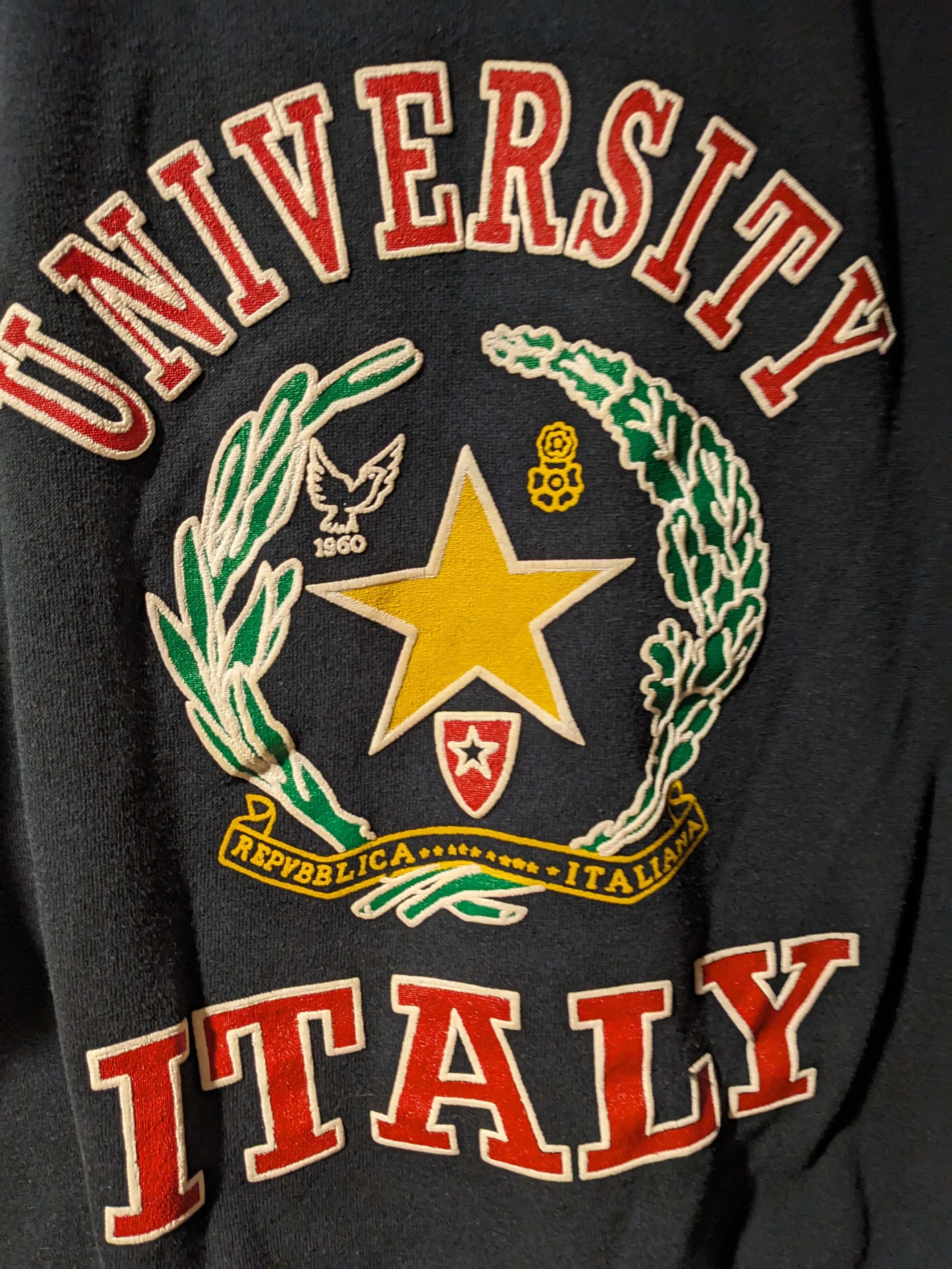 Vintage Vintage 90s University of Italy Puff Print Sweatshirt Size US XL / EU 56 / 4 - 2 Thumbnail