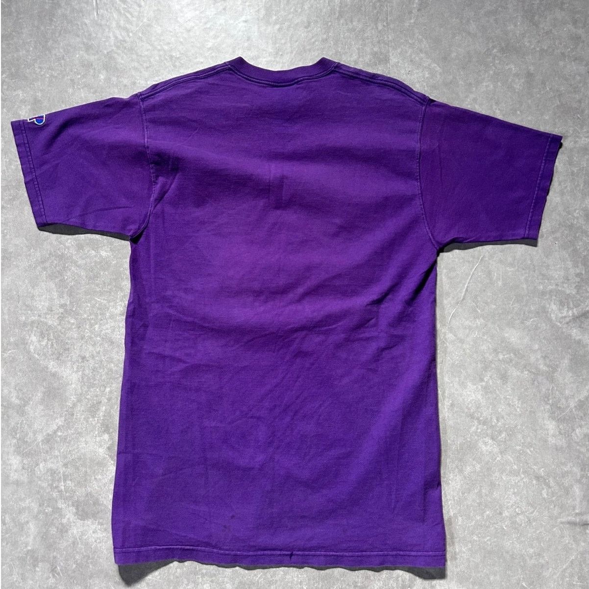 Pro Player Vintage Minnesota Vikings Pro Player Purple T Shirt Size M Size US M / EU 48-50 / 2 - 4 Thumbnail