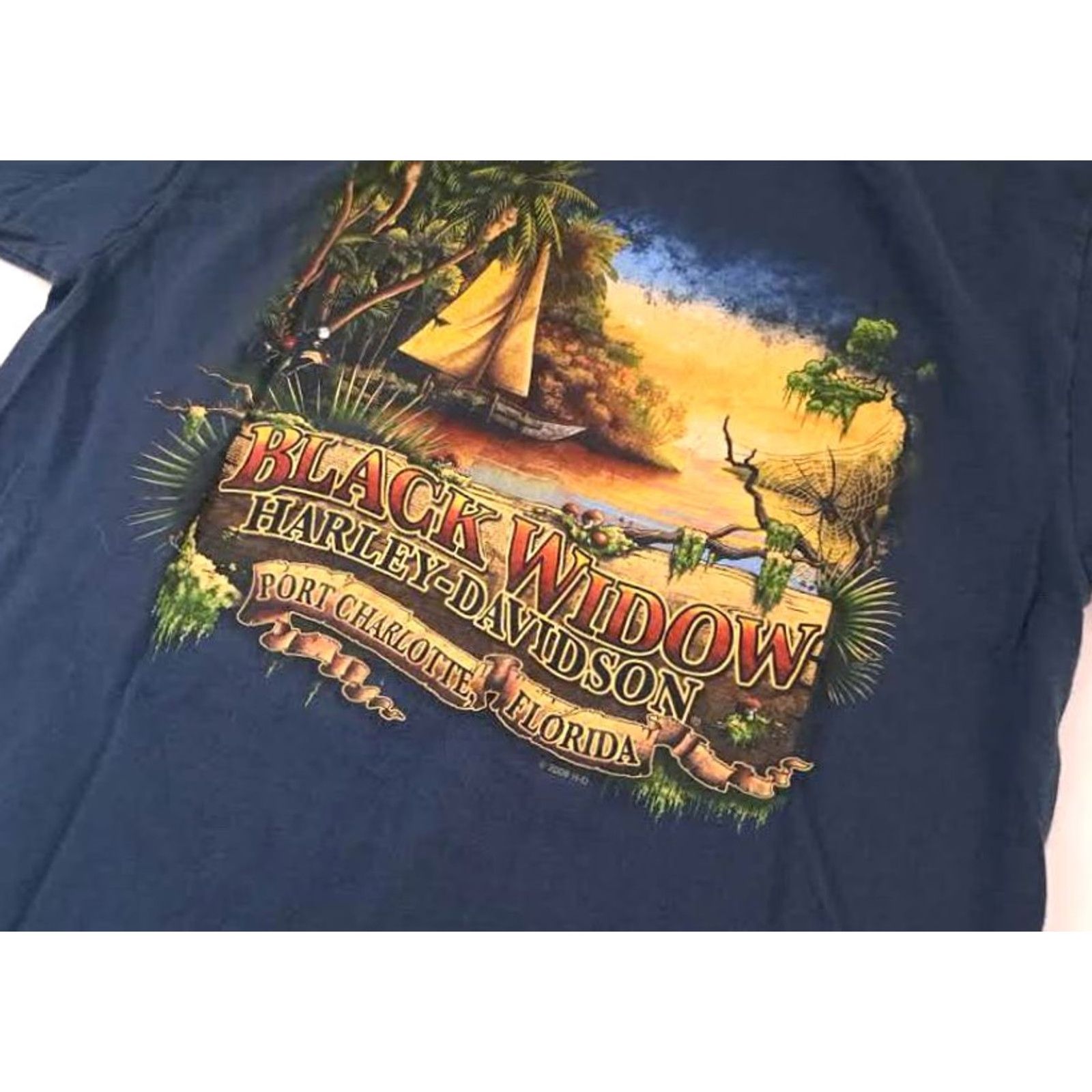 Harley Davidson Harley-Davidson T-Shirt USA Port Charlotte Florida 2009 Blue M Short Sleeve Unisex Adults Womens/Mens? Size US M / EU 48-50 / 2 - 5 Thumbnail
