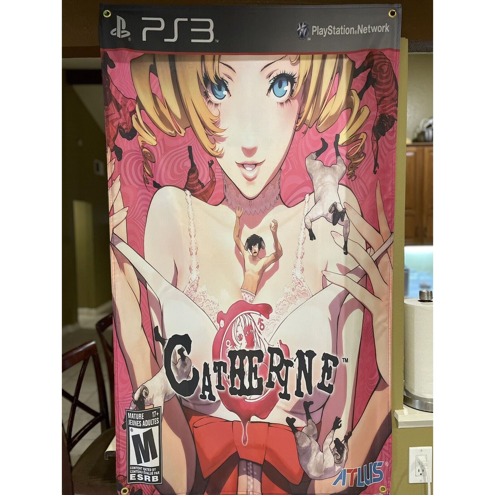 Playstation Catherine 5' Flag Banner Poster Sony PlayStation 3 PS3 Atlus Size ONE SIZE - 1 Thumbnail