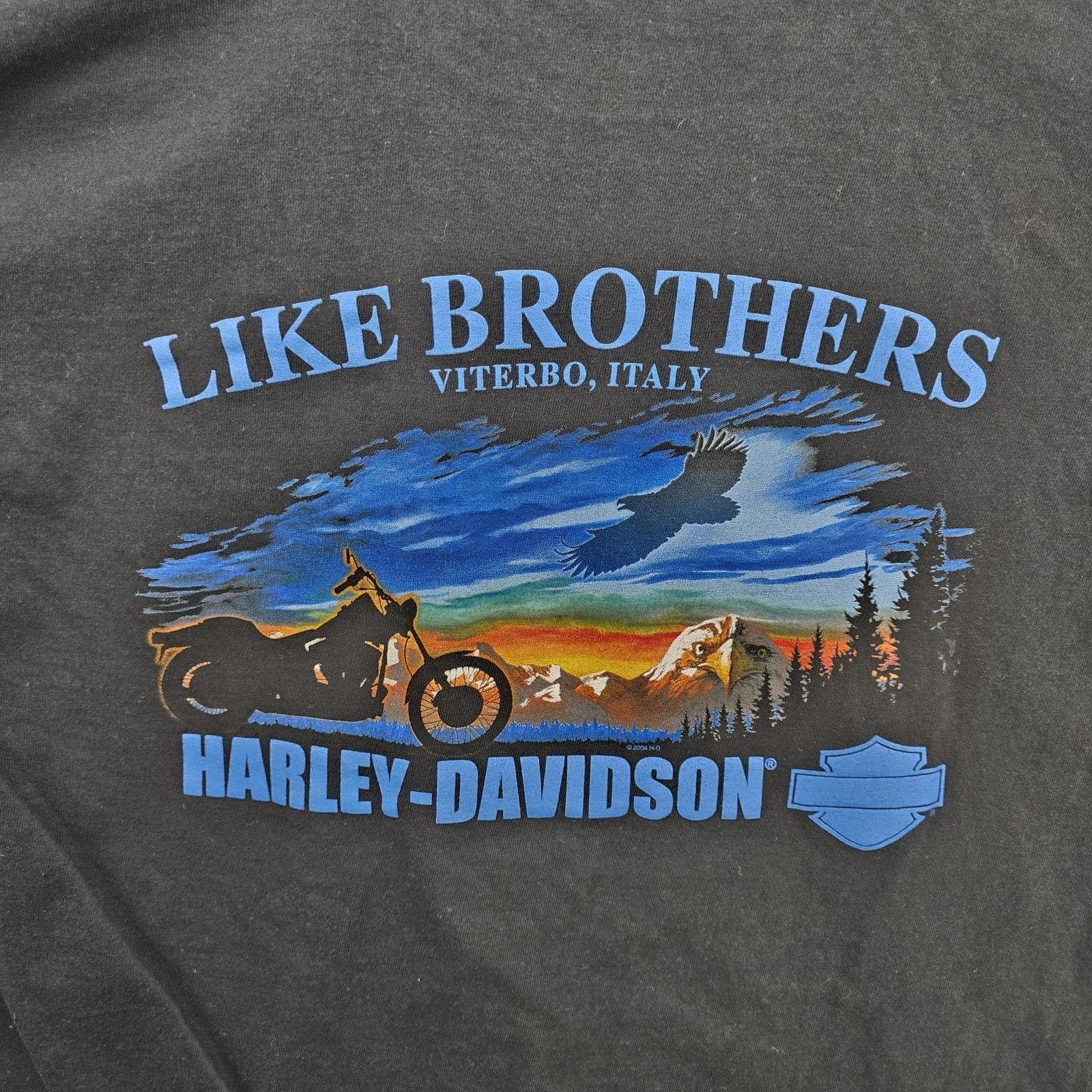Harley Davidson Vintage Harley Davidson Shirt L Like Brothers Viterbo Italy Size US L / EU 52-54 / 3 - 8 Thumbnail