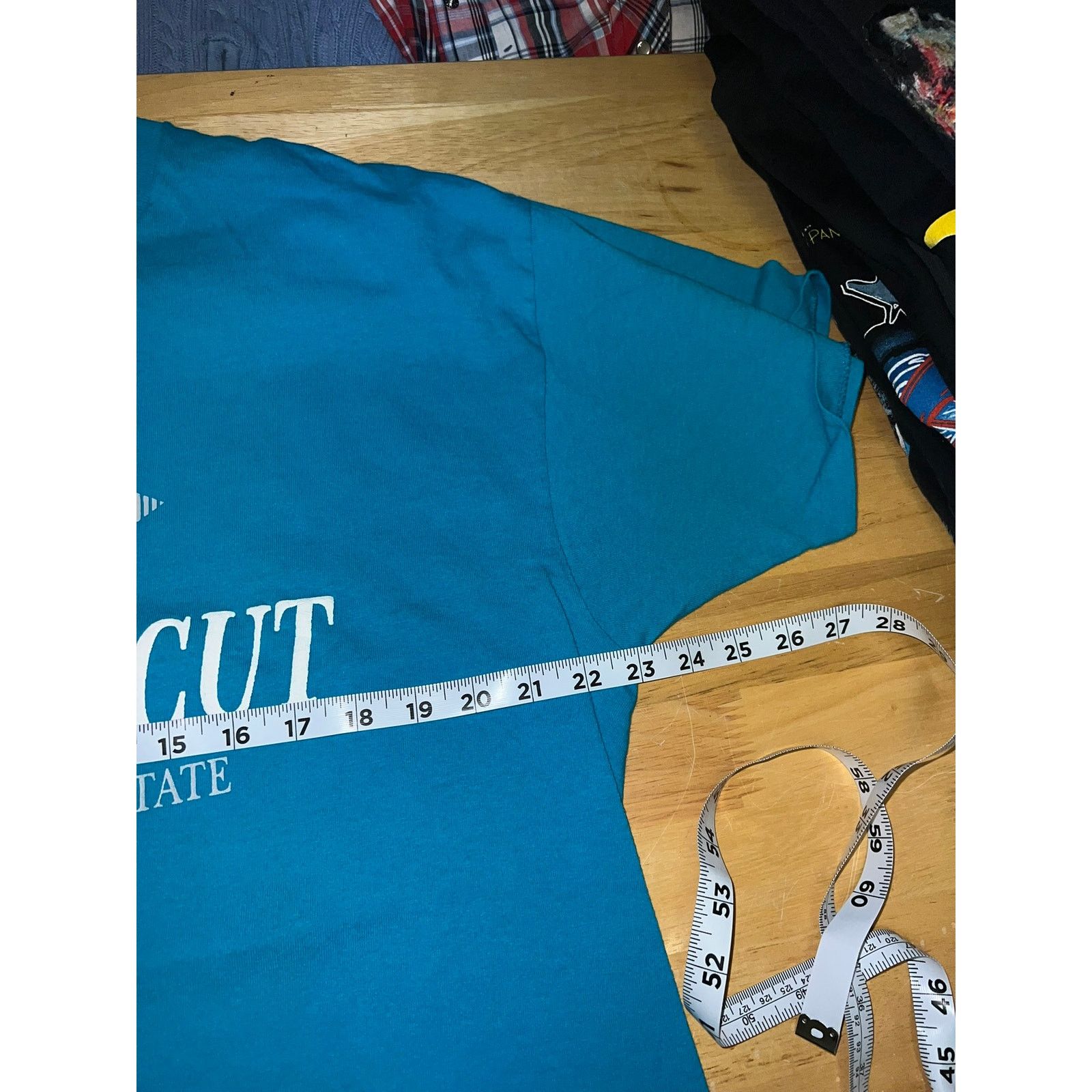 Delta Vintage Connecticut Shirt The Constitution State Teal 90s XL Size US XL / EU 56 / 4 - 8 Thumbnail