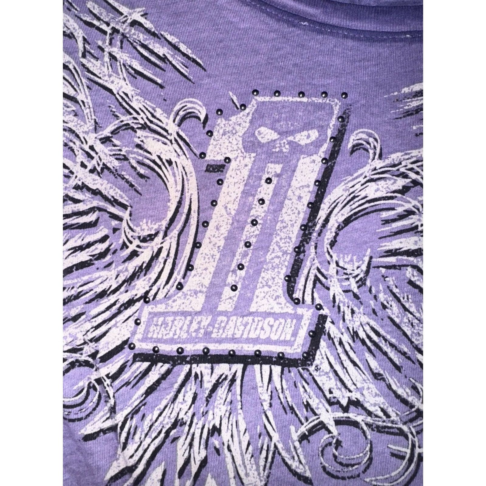Harley Davidson VINTAGE Y2K Harley Davidson Purple Sheer Blouse Rhinestones Bling Paper Thin Long Sleeve Size S GUC Womens Size S / US 4 / IT 40 - 3 Thumbnail
