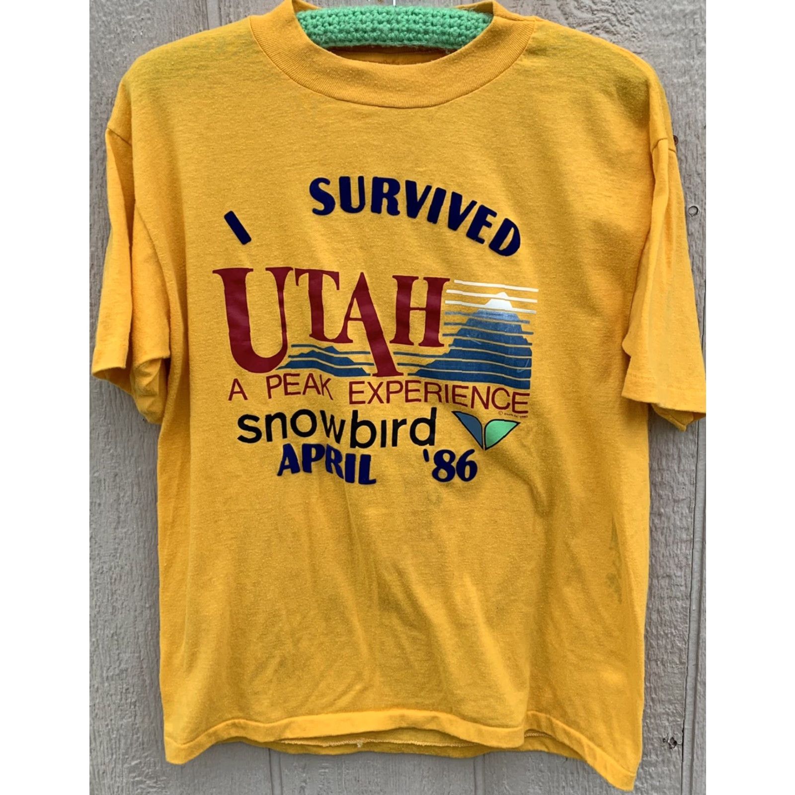 Vintage vintage I survived Utah peak experience snowbird April 86 graphic tee t-shirt L Miller Mens Crew Neck Short Sleeve Yellow 80s nature USA Size US L / EU 52-54 / 3 - 3 Thumbnail