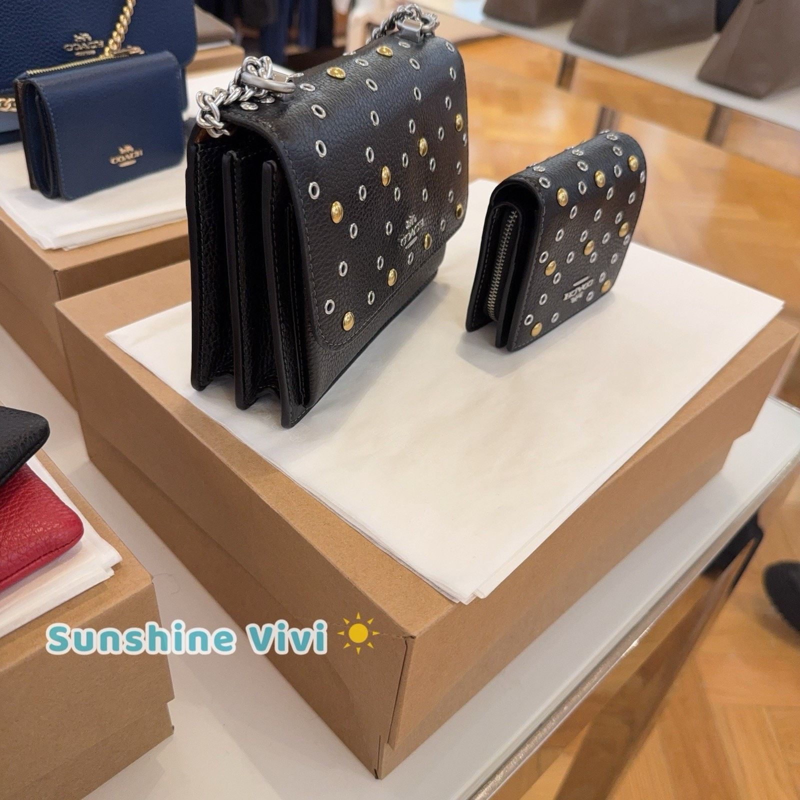 Coach NWT Bundle Coach Mini Klare Rivets CCE10 & CCL78 Snap Wallet Size ONE SIZE - 3 Thumbnail