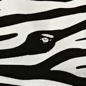 Bape BAPE Zebra camo cargo shorts a bathing ape NIGO ★size S Size US 30 / EU 46 - 2 Thumbnail