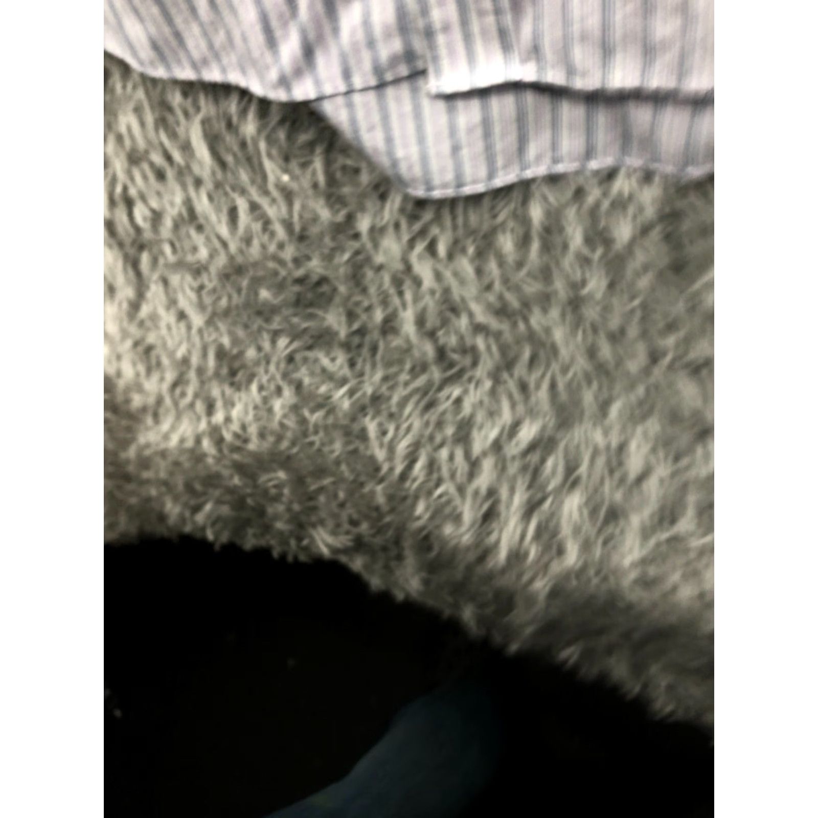 Chaps Chaps Shirt Mens L Long Sleeve Button-Down Collar Striped Wrinkle Free Knit Easy Care Classic Modern Tailored Size US L / EU 52-54 / 3 - 3 Thumbnail