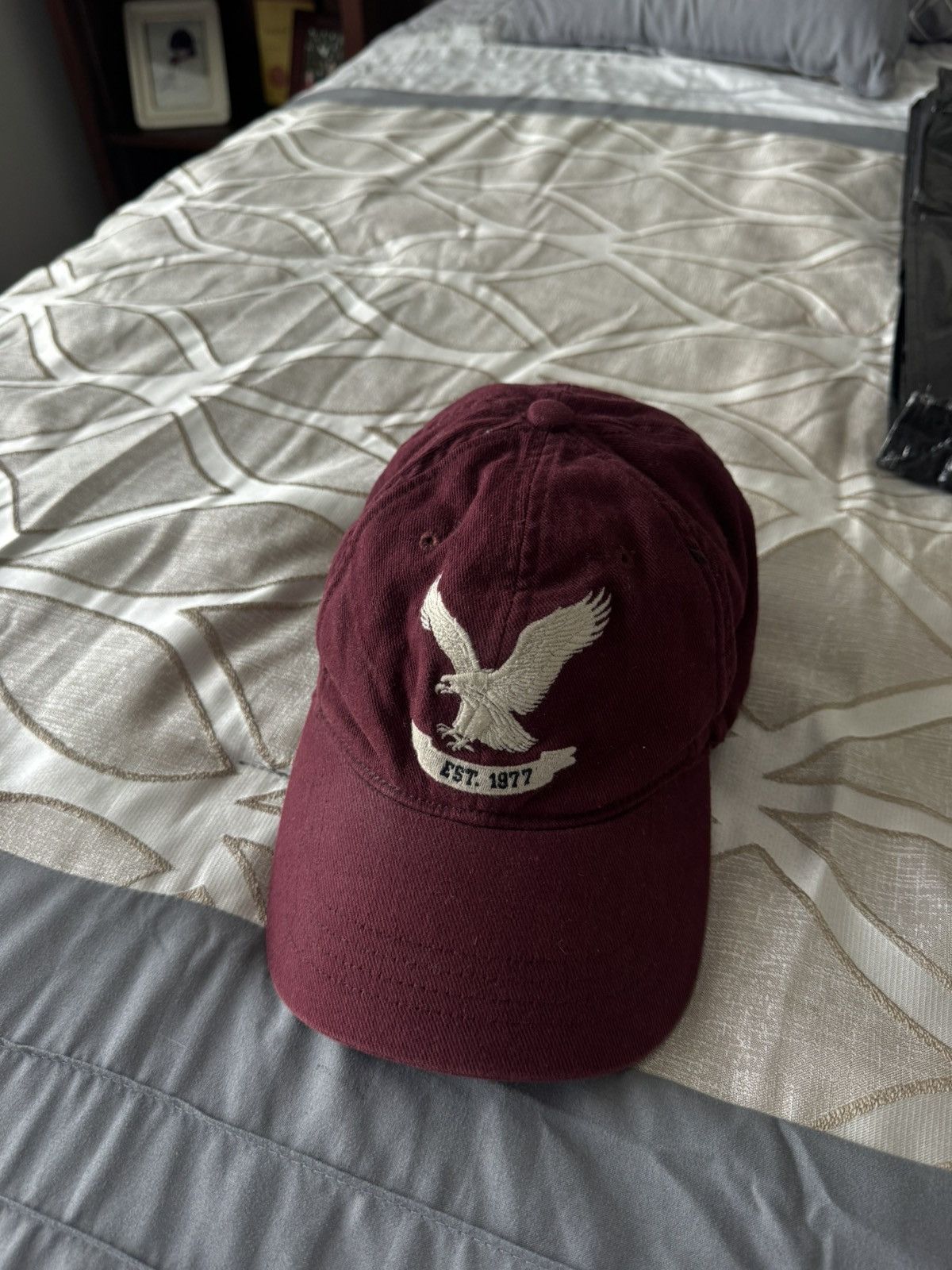 American Eagle Outfitters AE baseball hat Size ONE SIZE - 1 Preview